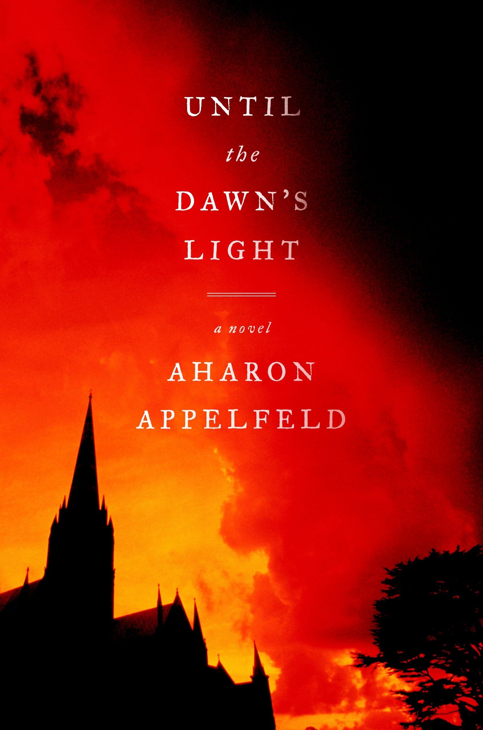 Buy Until the Dawn's Light: A Novel — BookShops.in