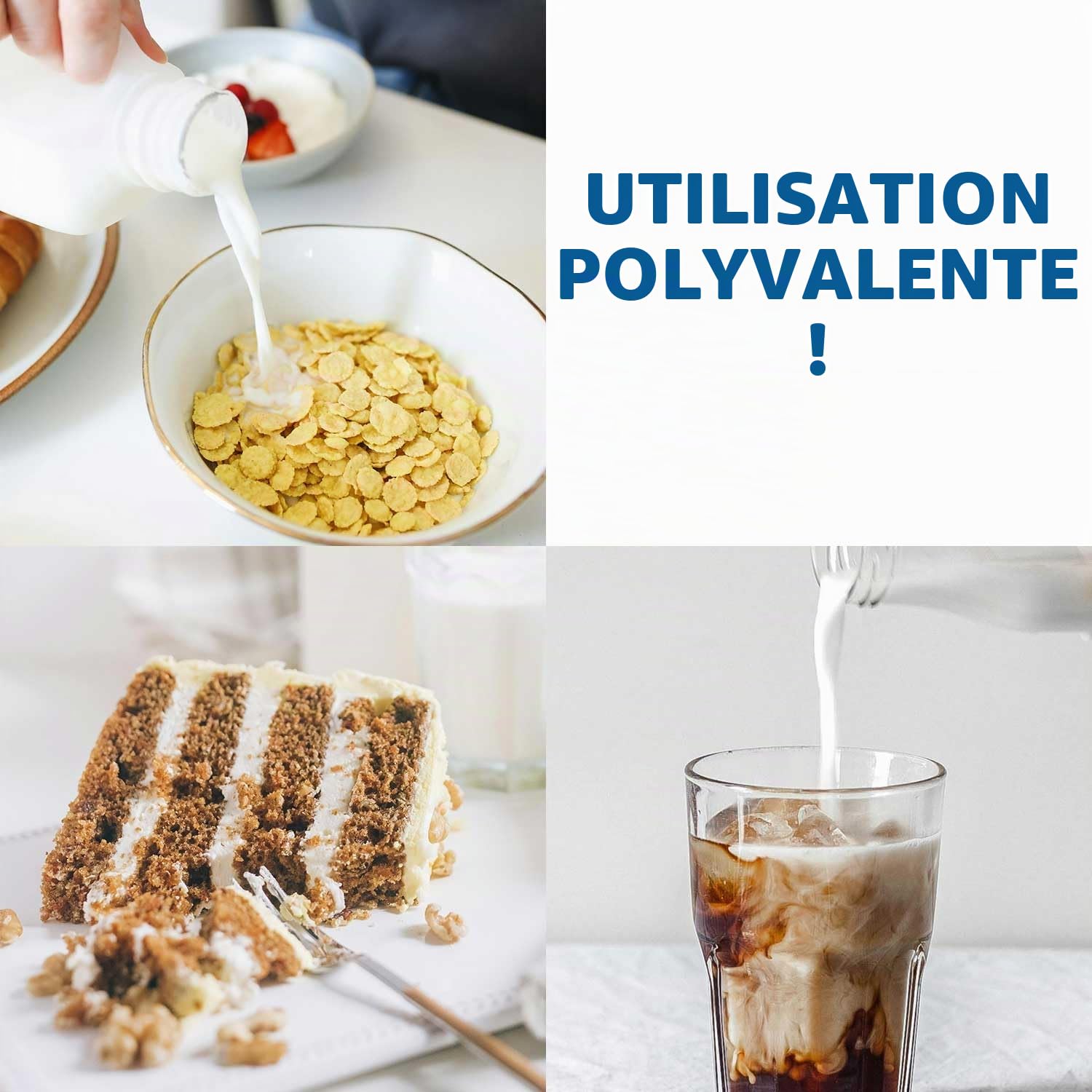 GOLDEN PEANUT Lait écrémé en poudre 5 kg - Séchage en spray faible en matières grasses - Lait écrémé longue durée - Remplacement du lait frais - Fabrication de glace - Origine UE
