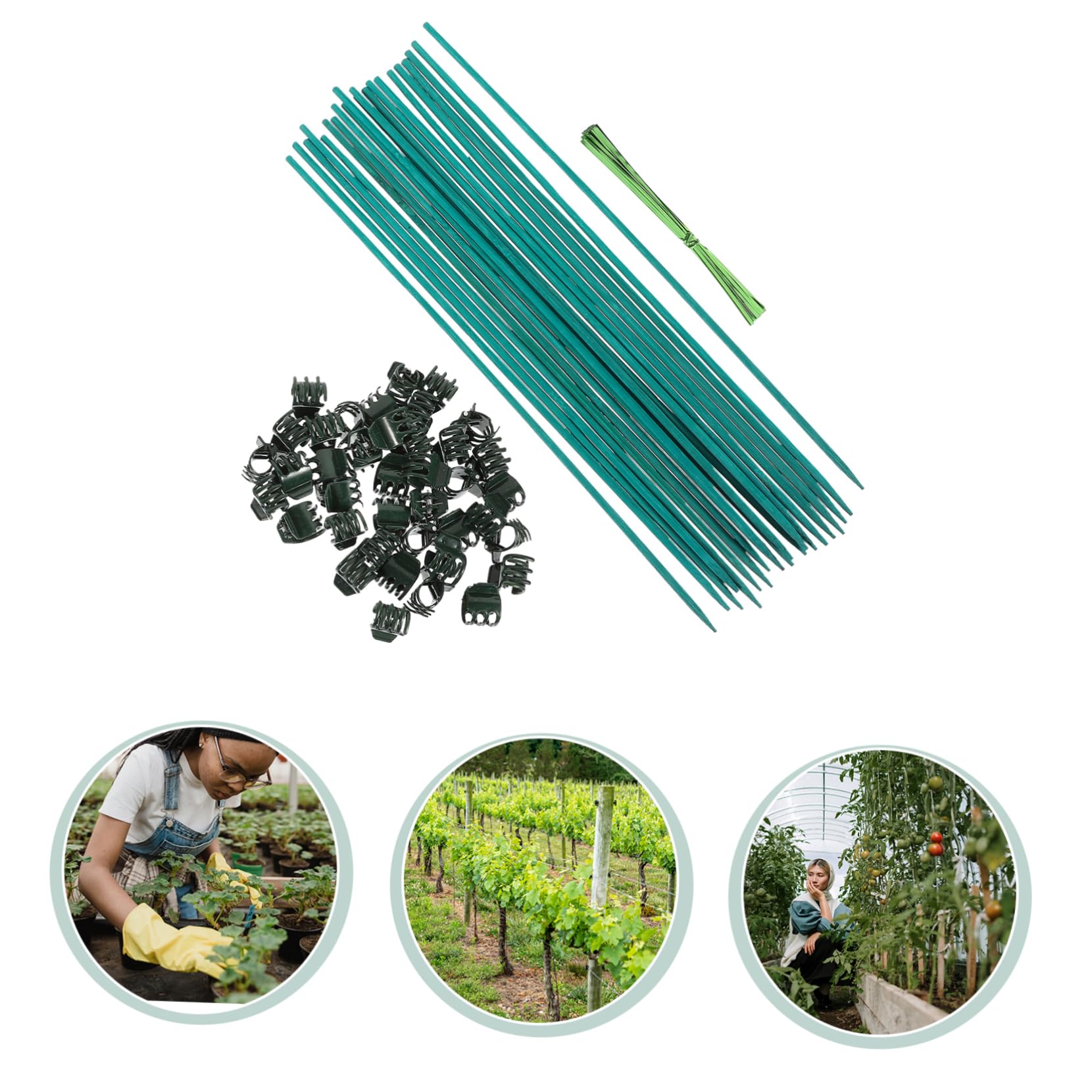 Toyvian 3 Ensembles Support de Plantes Ensemble de Tuteurs Clips Fils pour Fleurs Plantes Grimpantes Accessoires de Jardinage Pratiques pour Droite Tiges