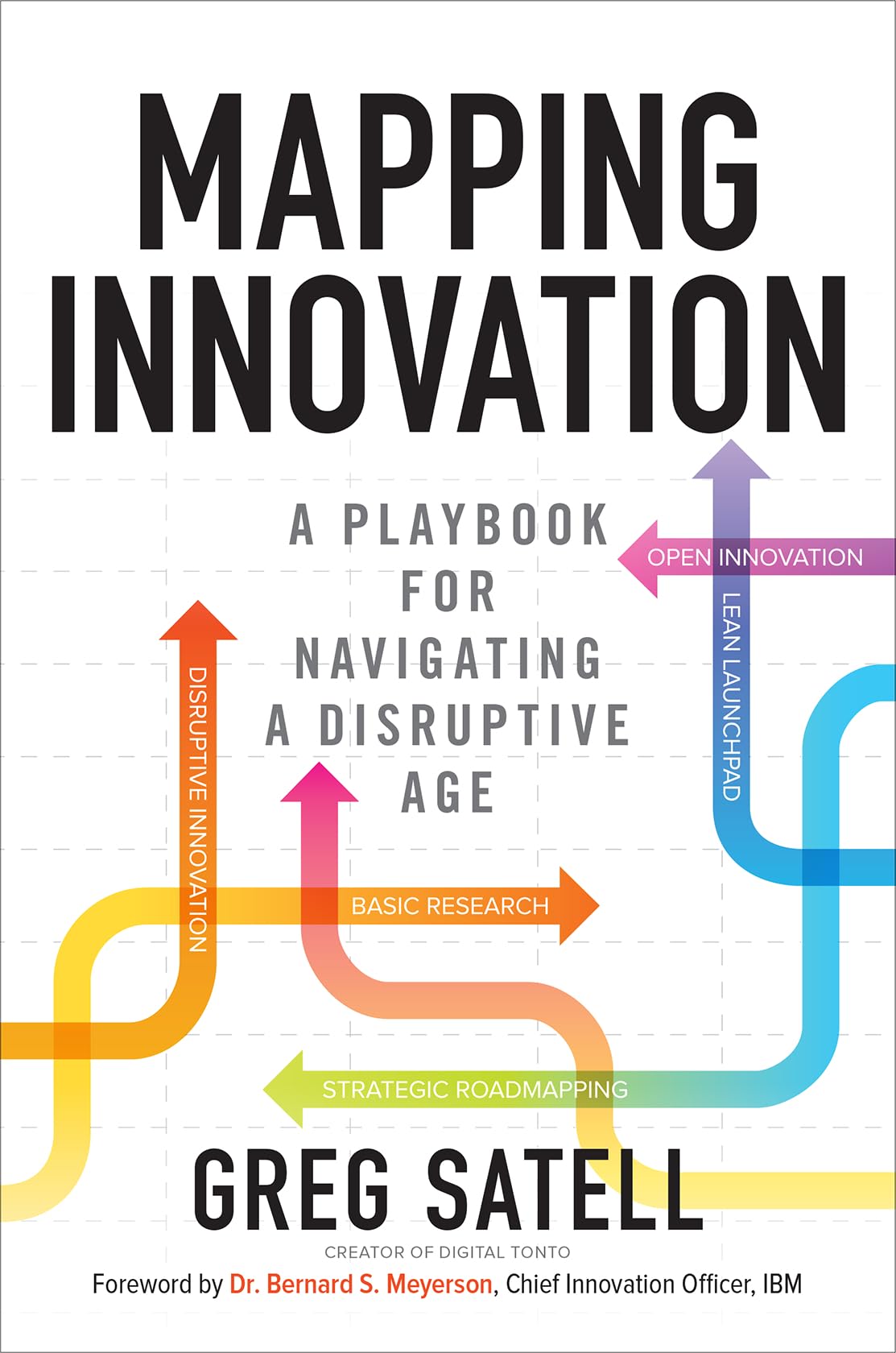 Mapping Innovation: A Playbook for Navigating a Disruptive Age Hardcover – May 23, 2017
