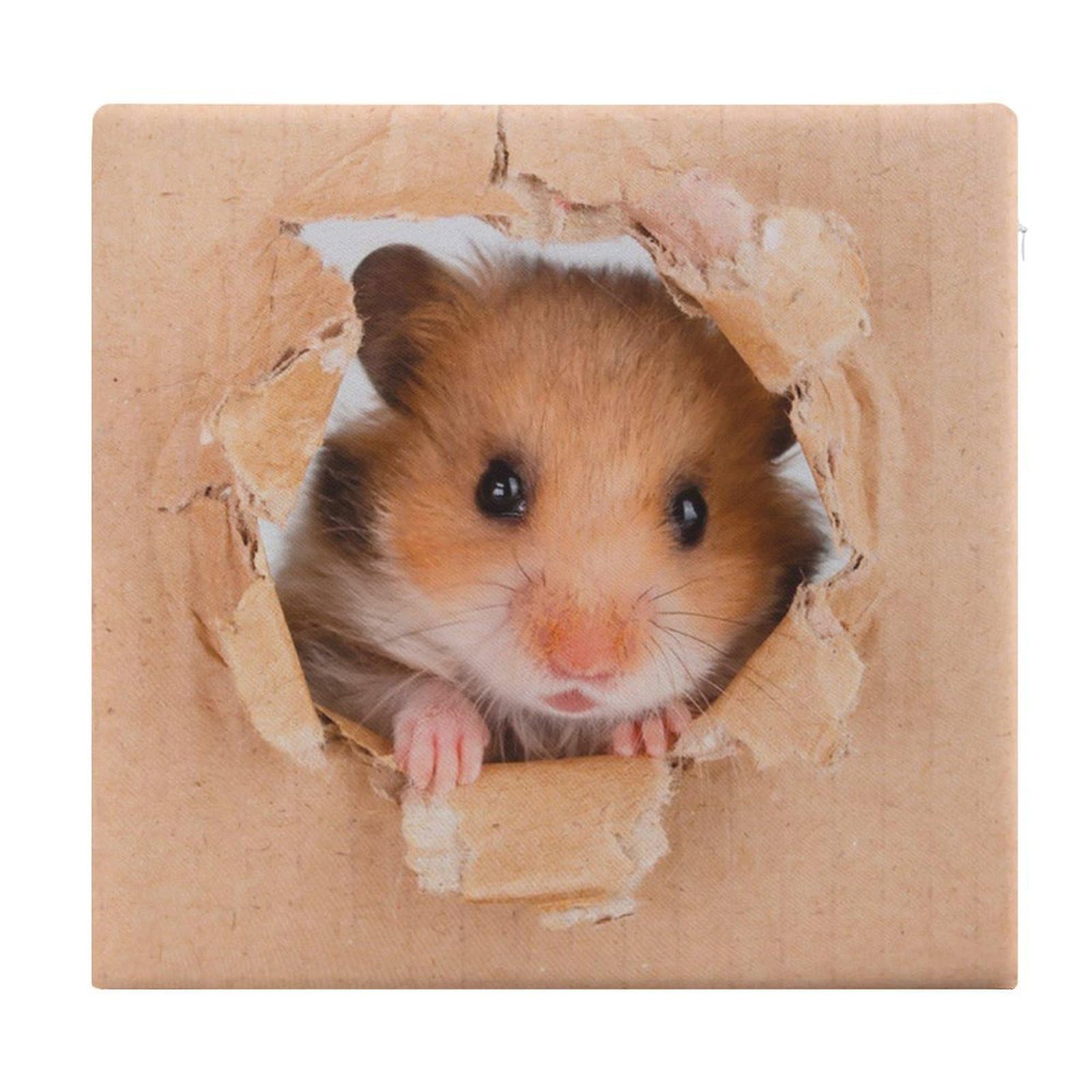 Coussin de siège pour salle à manger et bureau Funny Hamster en mousse