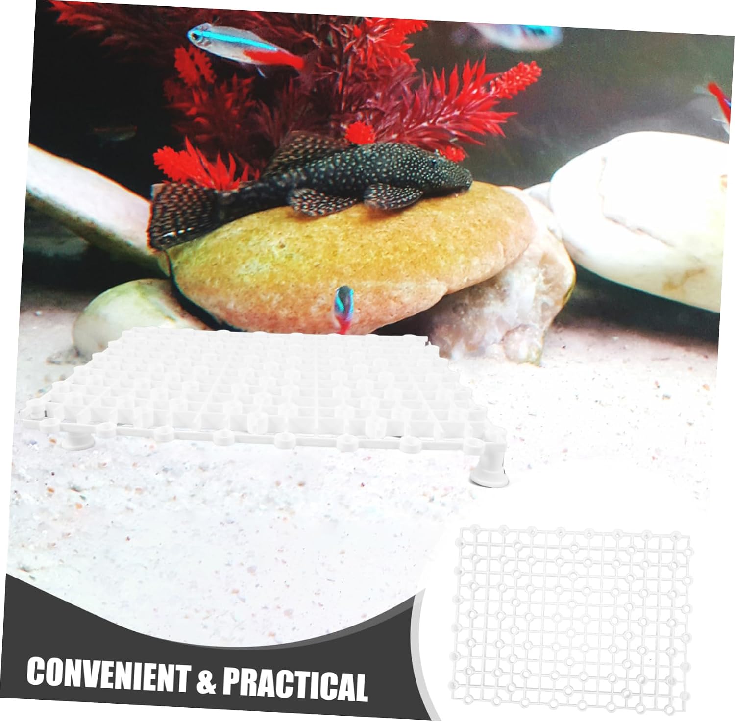 BESPORTBLE 4pcs Aquarium Divider Grid Plates for Fish Tank Flexible Bottom Tray Cups Easy Assembly for Betta Fish and Aquatic Plants