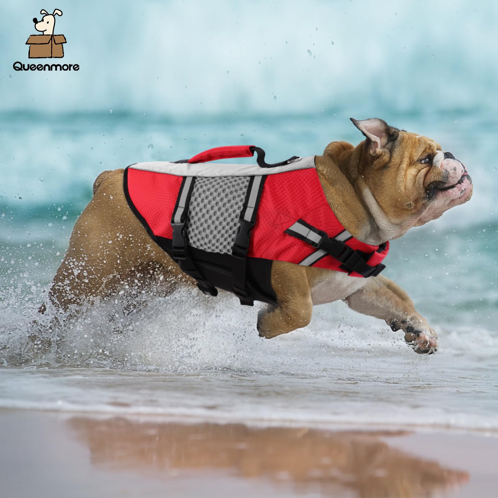 Queenmore Gilet de Sauvetage pour Chien léger hautement réfléchissant avec poignée de Levage et Anneau de Laisse