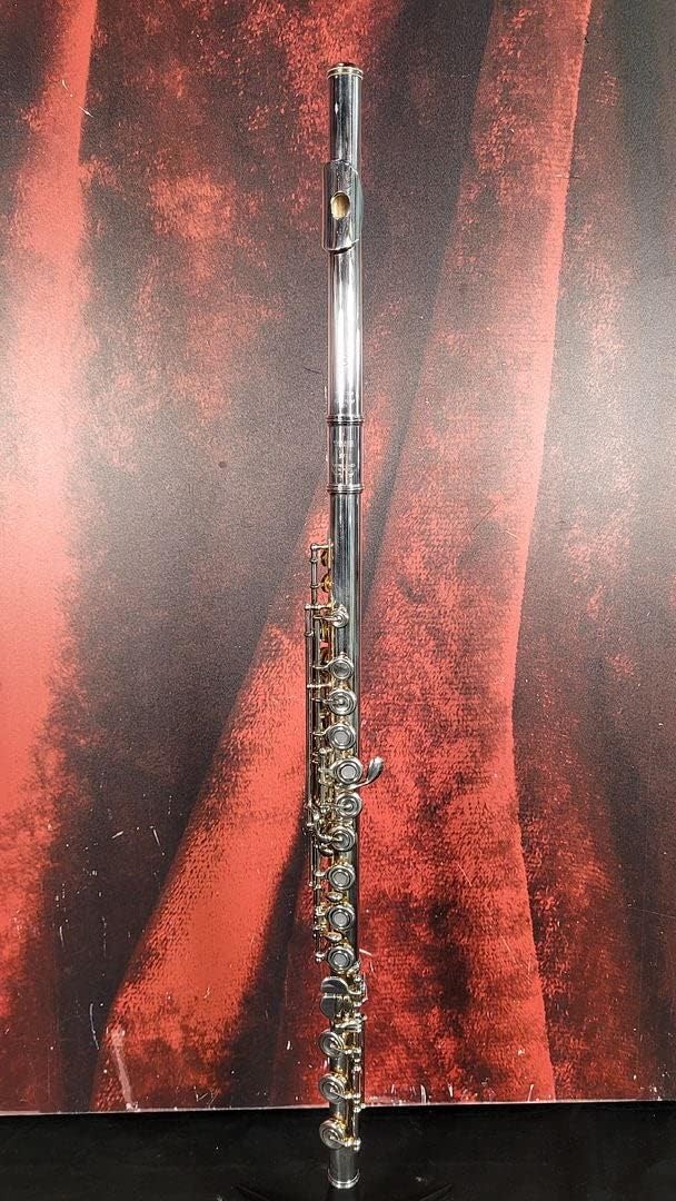 Flauta profesional Yamaha YFL-577HCT
