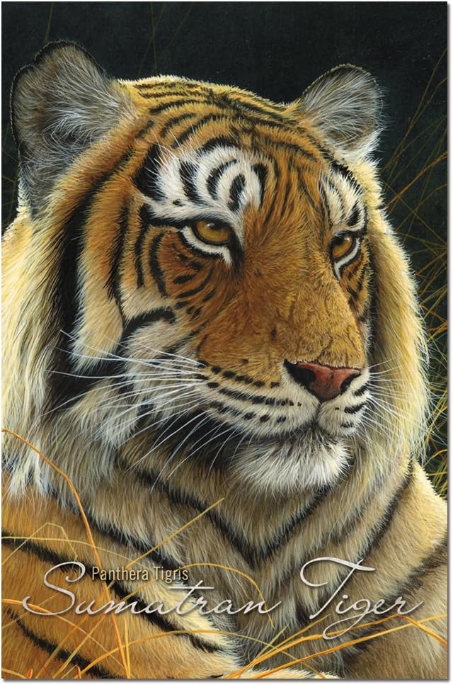 Tree-Free Greetings EcoNotes Stationary- Blank Note Cards with Envelopes, 4" x 6", Sumatran Tiger, Boxed Set of 12 (FS66733)