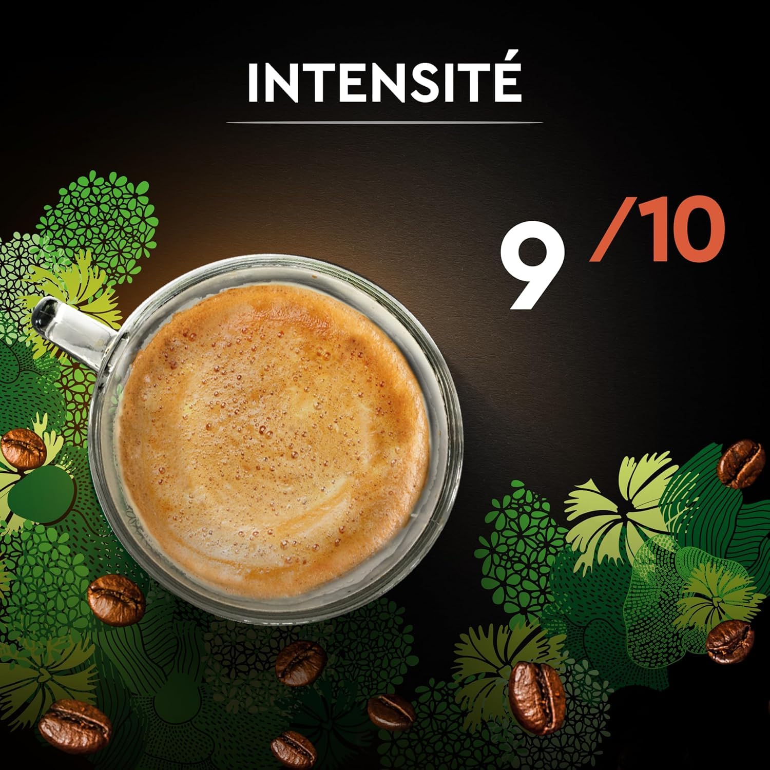 CARTE NOIRE - Bio Intense - Café en Grains Torréfiés - Pur Arabica Biologique - Paquet de 6 kg