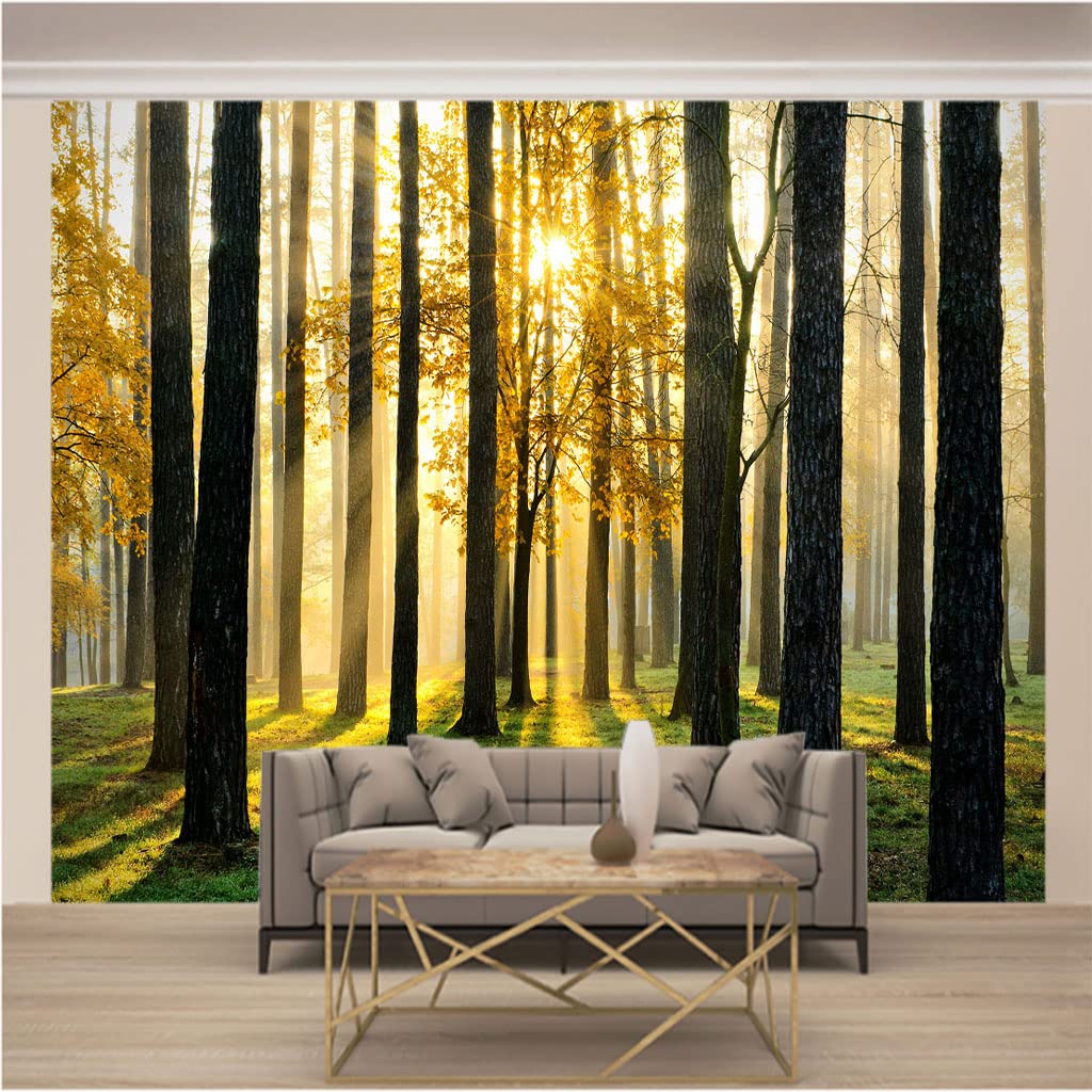 Papier peint intissé 3D bois paysage ensoleillé pour mur salon xxl 350x256cm