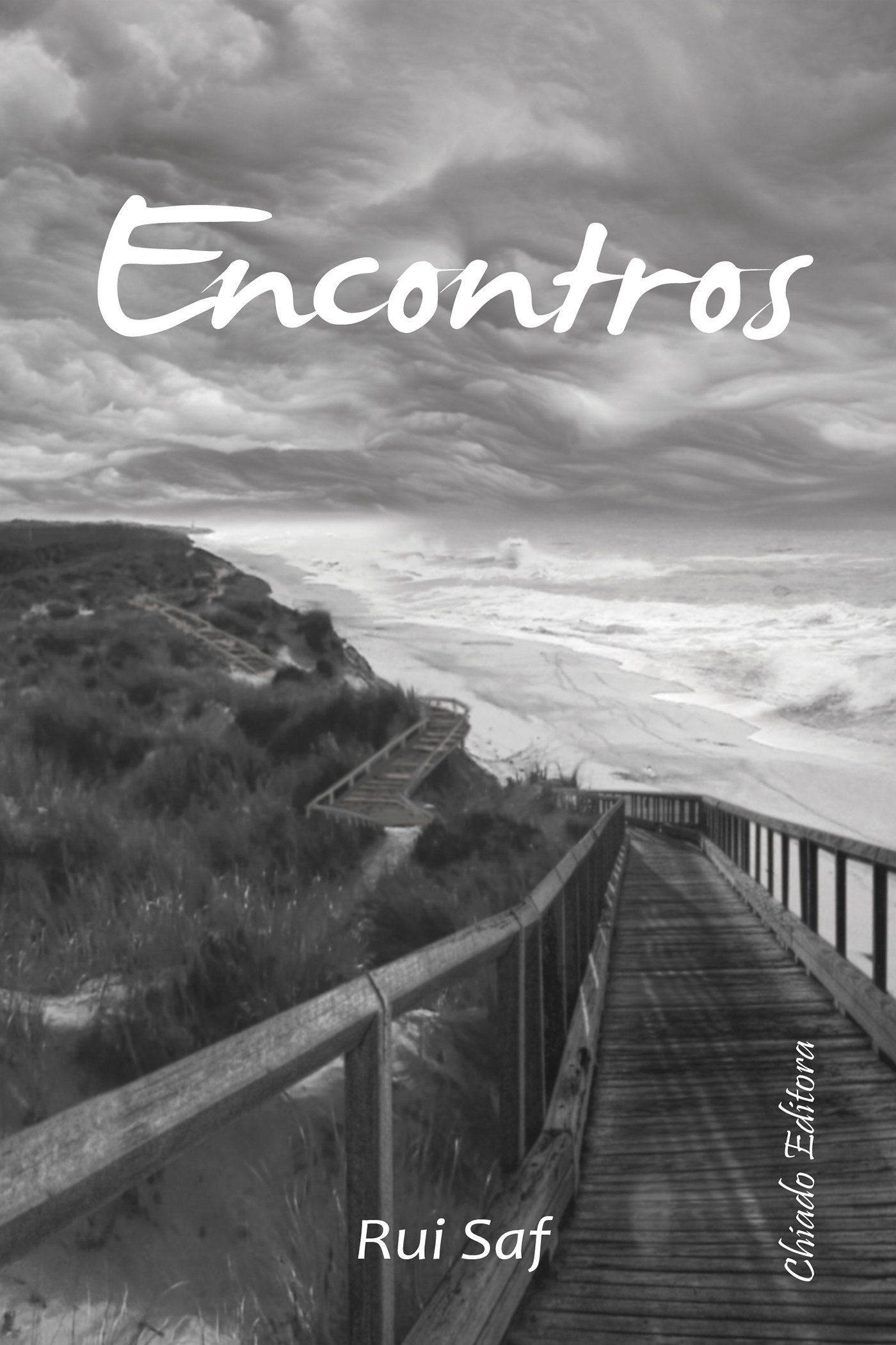 Encontros (Portuguese Edition)