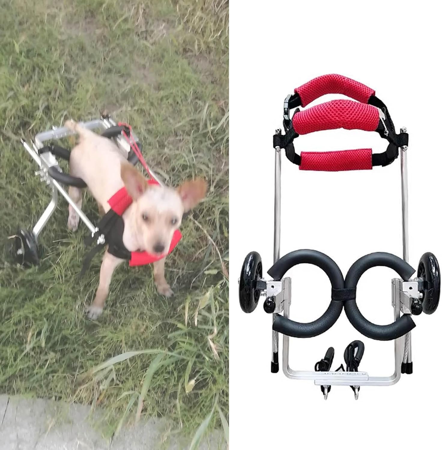 Adjustable Dog Wheelchair for Back Legs - Lightweight Dog Cart for Small Dogs, Sturdy Disabled Dog Walker, Mobility Aid for Injured Pets (1.7kg)