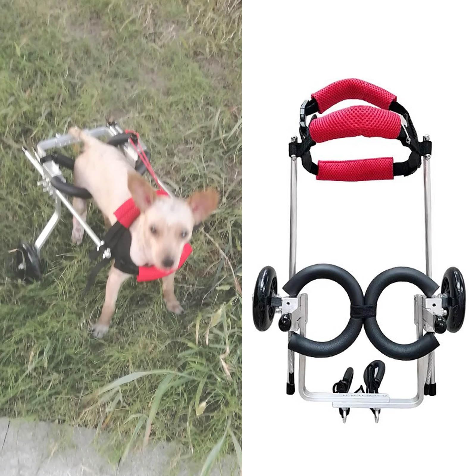 Fauteuil roulant pour chien réglable et robuste avec marcheur léger