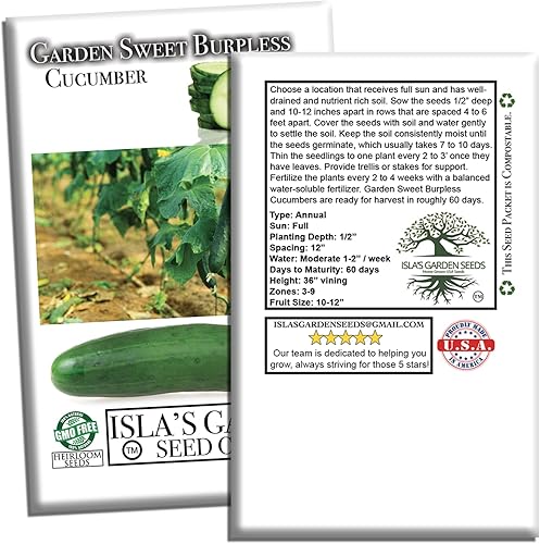 Miniatura 7 de Garden Sweet - Semillas de pepino sin eructos para plantar (Cucumis sativus) – Más de 50 semillas sin OMG y reliquias de Isla's Garden Seeds,