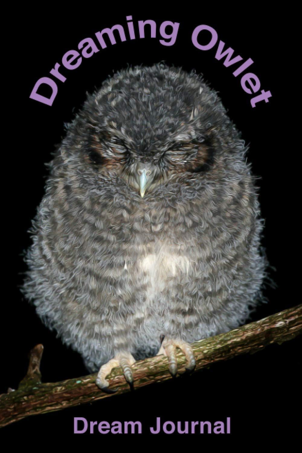Dreaming Owlet: Dream Journal