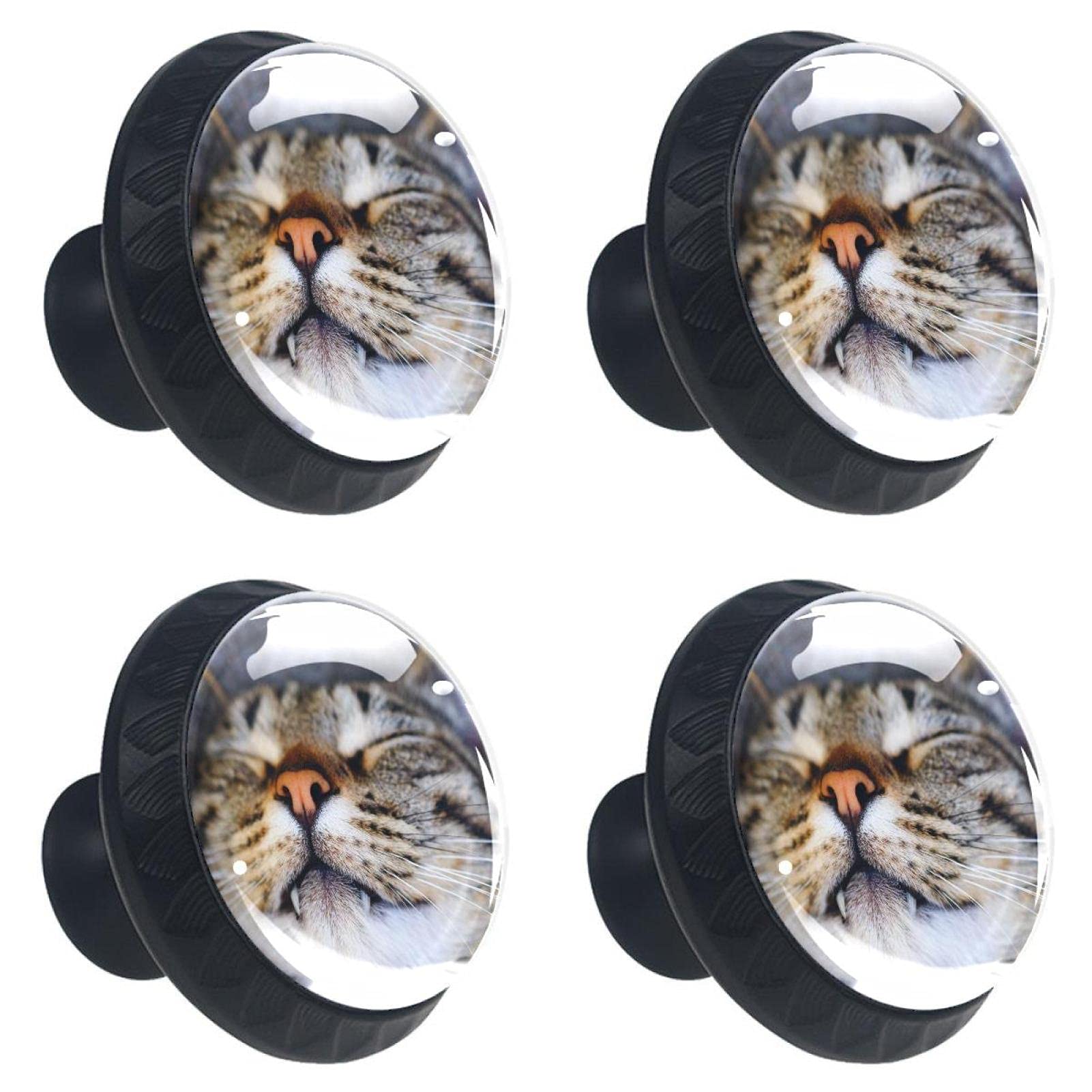 Boutons de tiroir chat endormi en cristal 30 mm pour meuble lot de 4