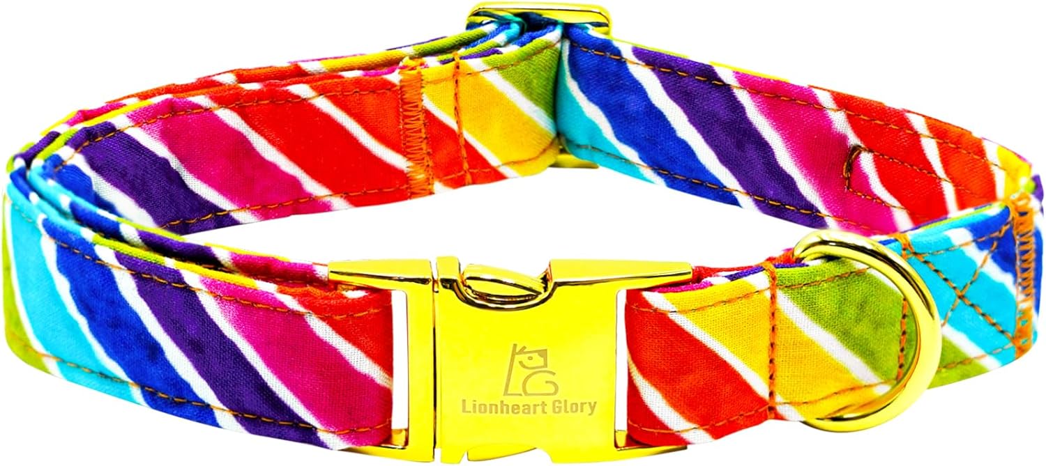 Amazon.com : Lionheart glory Rainbow Dog Collar Colorful Dog Collar ...