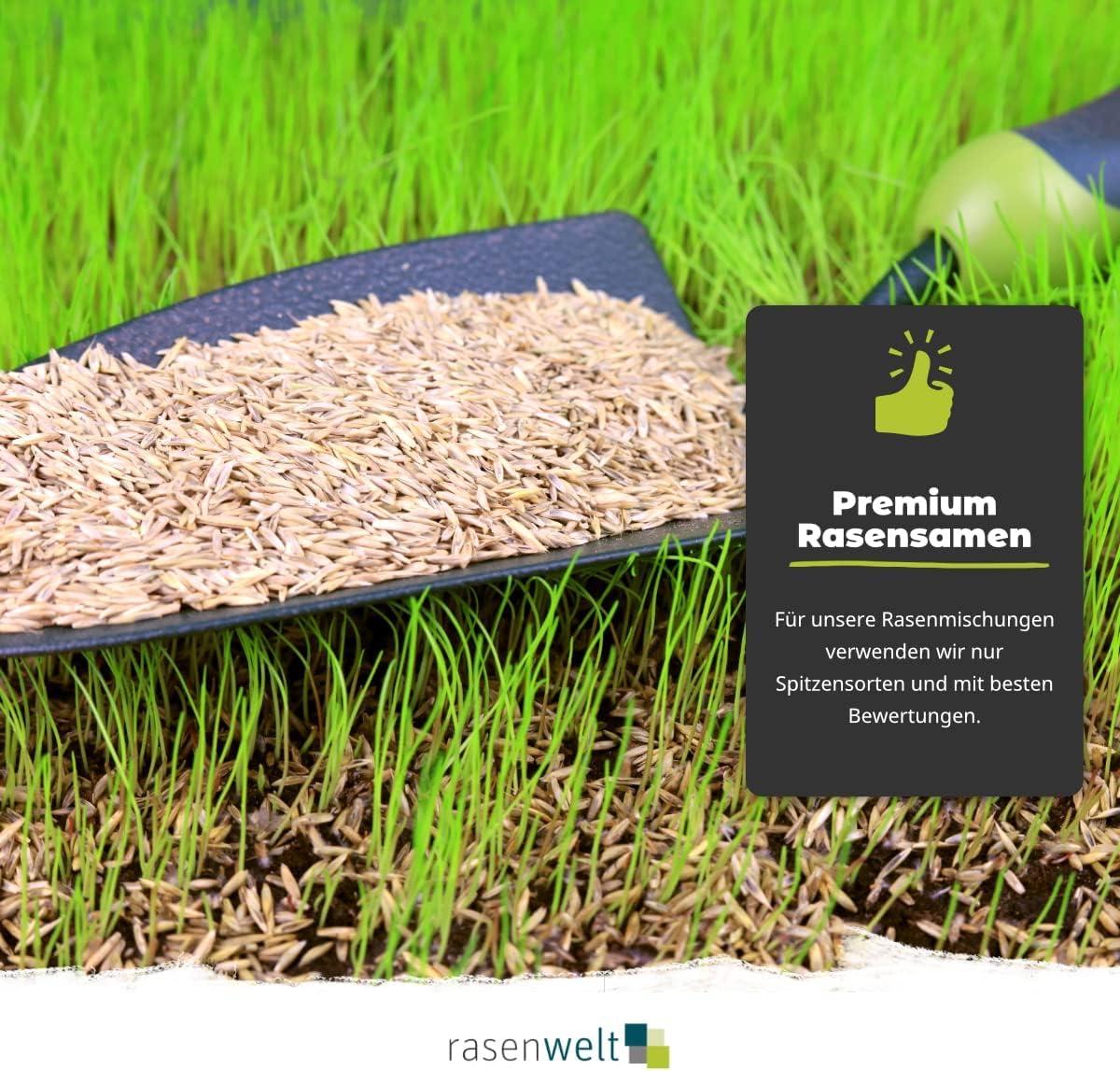 ARENA Premium Golfrasen Saatgut mit Keimbeschleuniger 5kg I Rasensamen tiefschnittverträglich und schnellkeimend I Fairway Ultimate