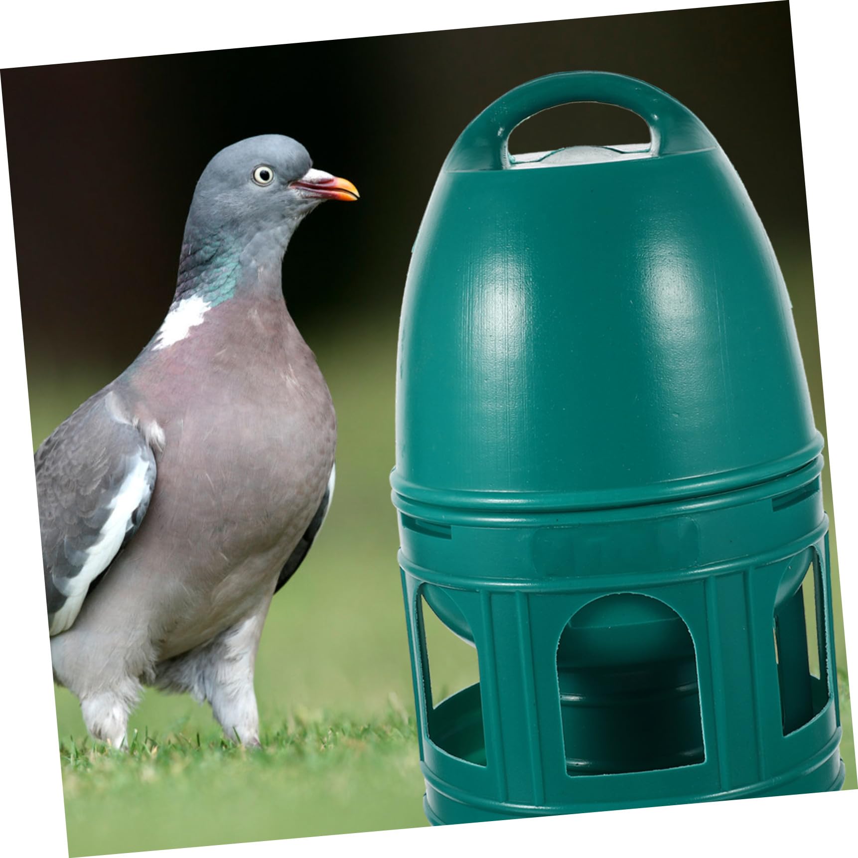 Comedero y Bebedero para Dispensador De Agua para Pájaros Plástico Fácil De Limpiar