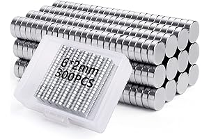 1/4 Inch IdealSized Round Magnets for the Savviest Minds