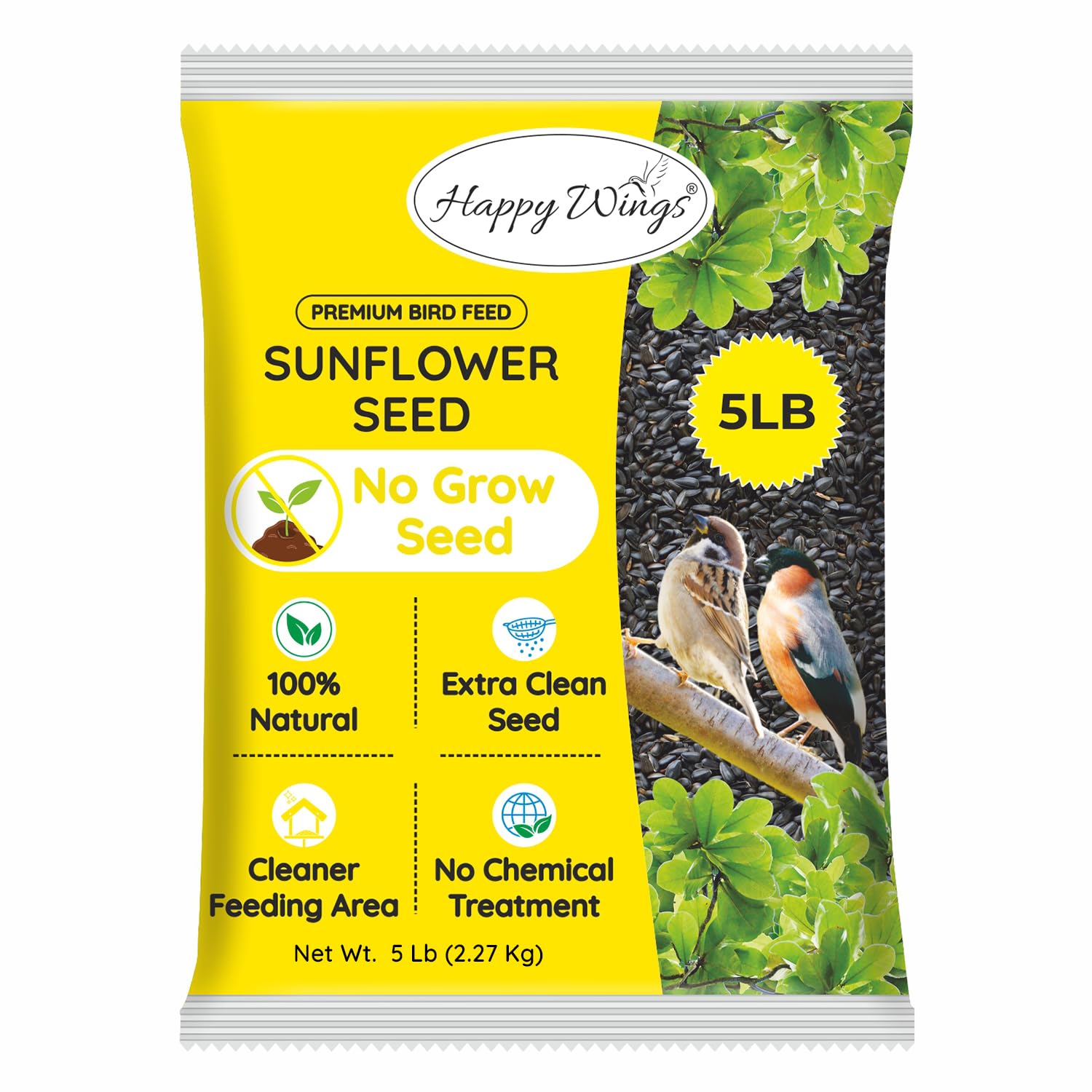 Can You Plant Black Oil Sunflower Bird Seed? Expert Tips Revealed