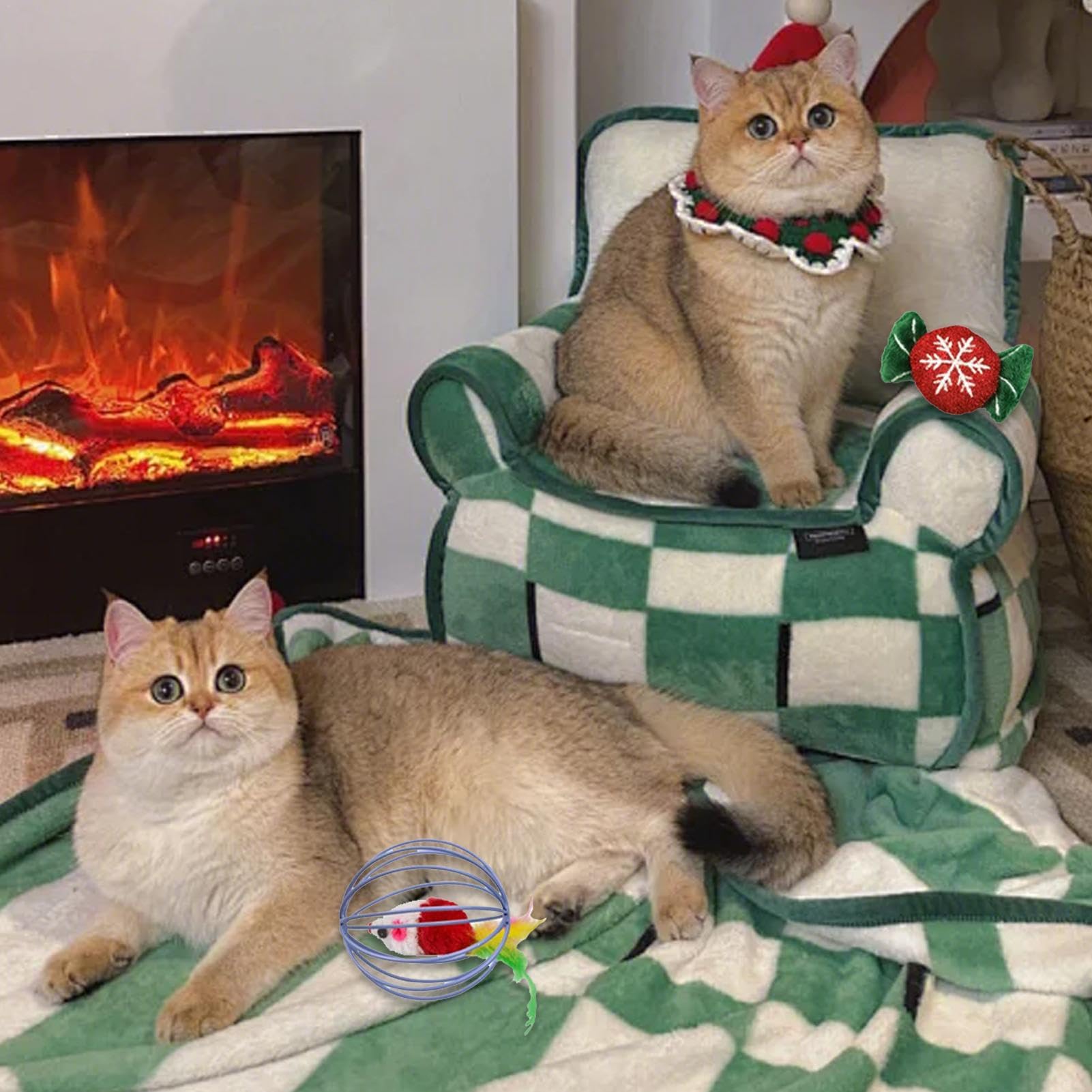 Katzen Adventskalender 2024 - 24 Türchen Mit Spielzeug Für Deine Katze