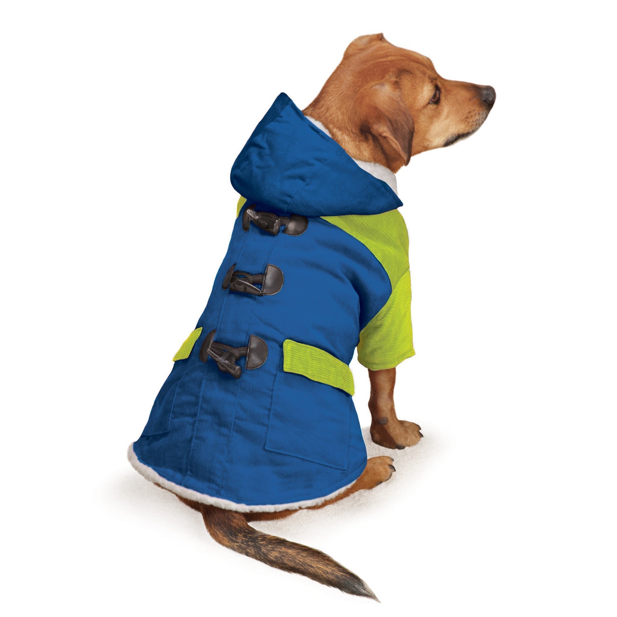 Veste pour chien idéale pour les promenades en ville