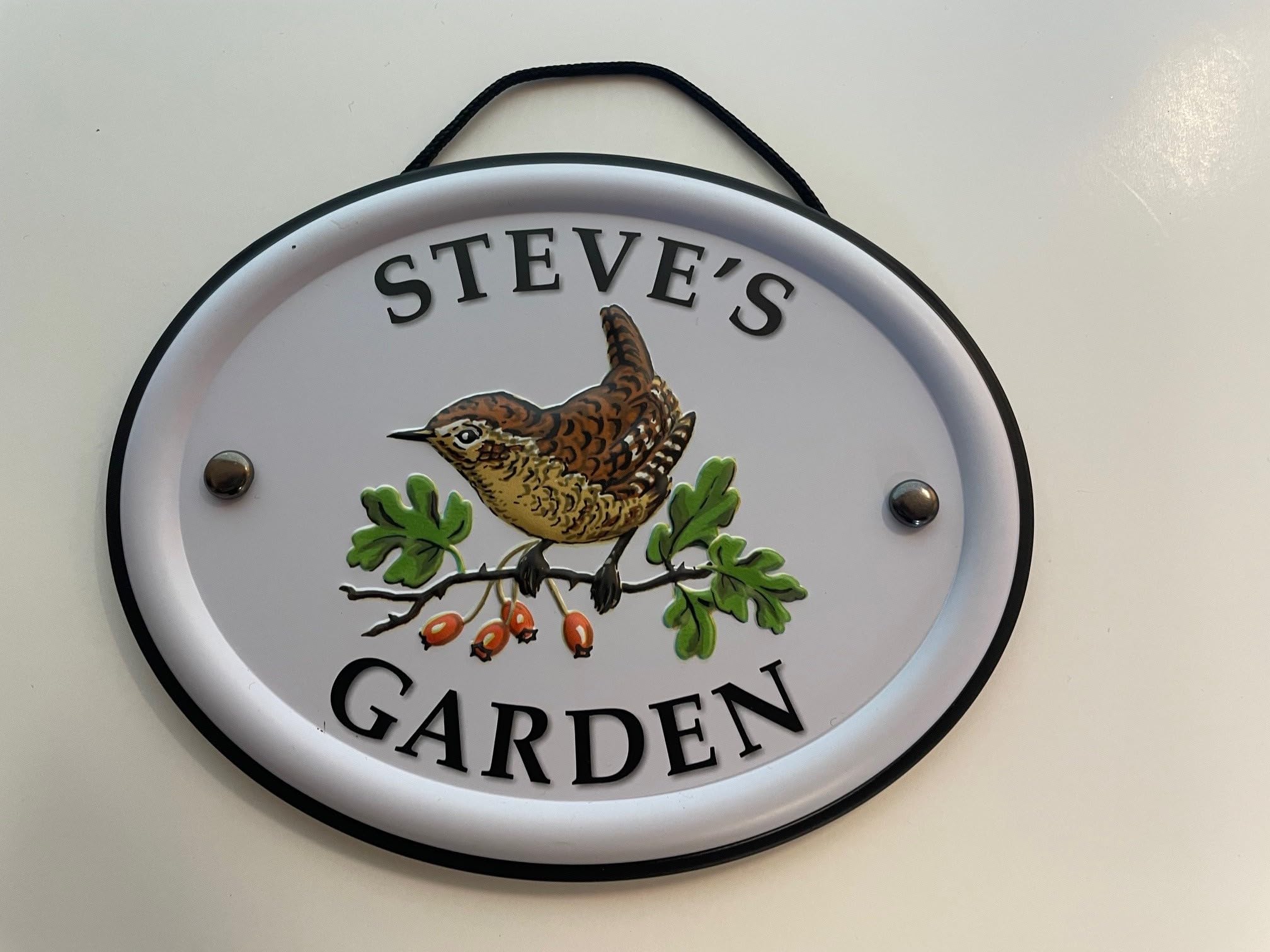 Personalised Embossed Metal Garden Sign 12x15cm – British Bird Design – Outdoor Decorative Hanging Garden Plaque – Weatherproof Metal Sign for Garden Walls Fences or Sheds (Steve)