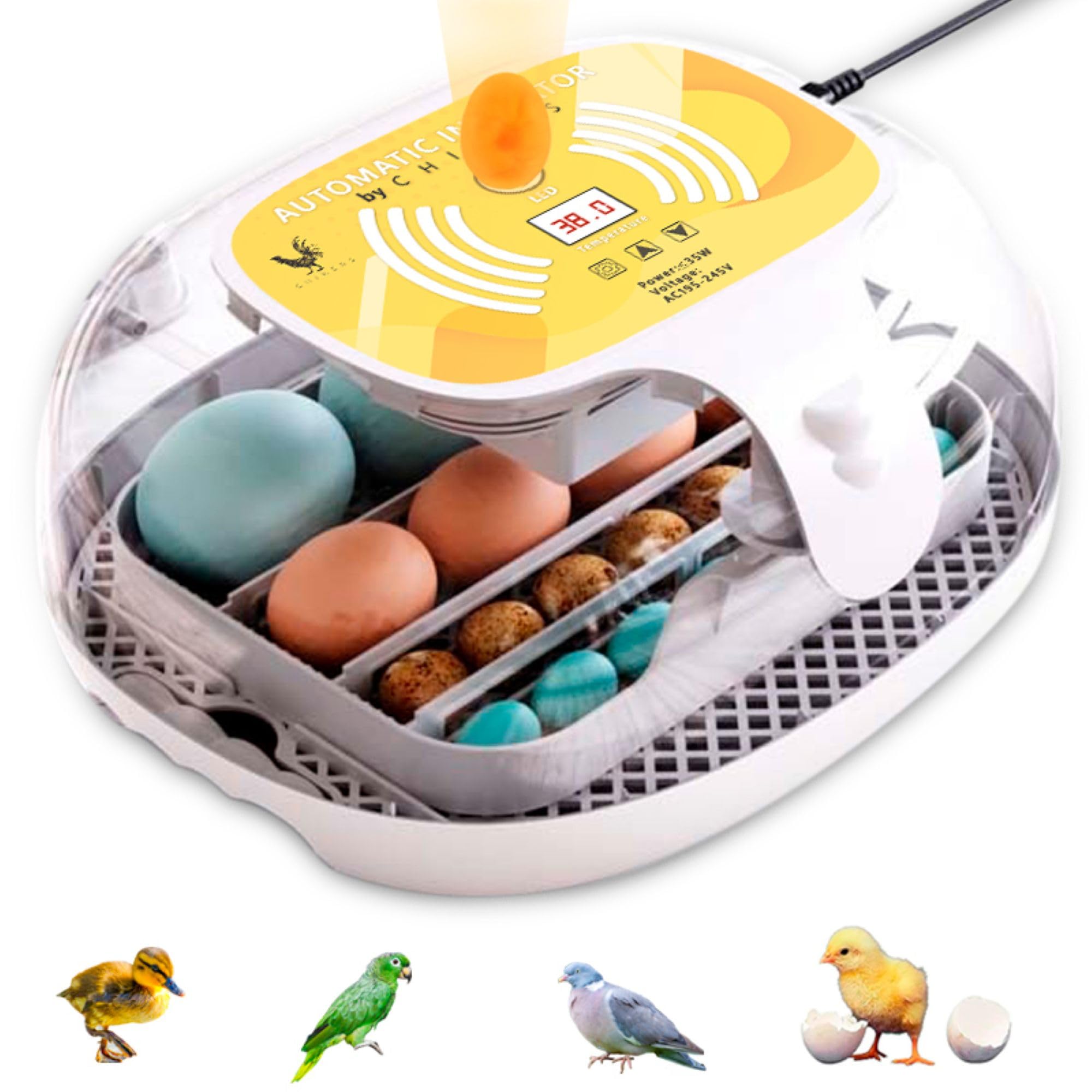 Incubadora Automática de Huevos Gallina, Aves y Pollos | para 12-35 Huevos | Rotación Automática y Control de Temperatura | Incubadora para Corrales y Uso doméstico | Nuevo Modelo 2025