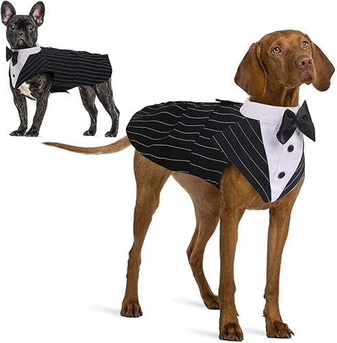 IDOMIK Traje de esmoquin para perros pequeños, medianos y grandes, traje formal de esmoquin para perro con collar de corbatín desmontable y bufanda