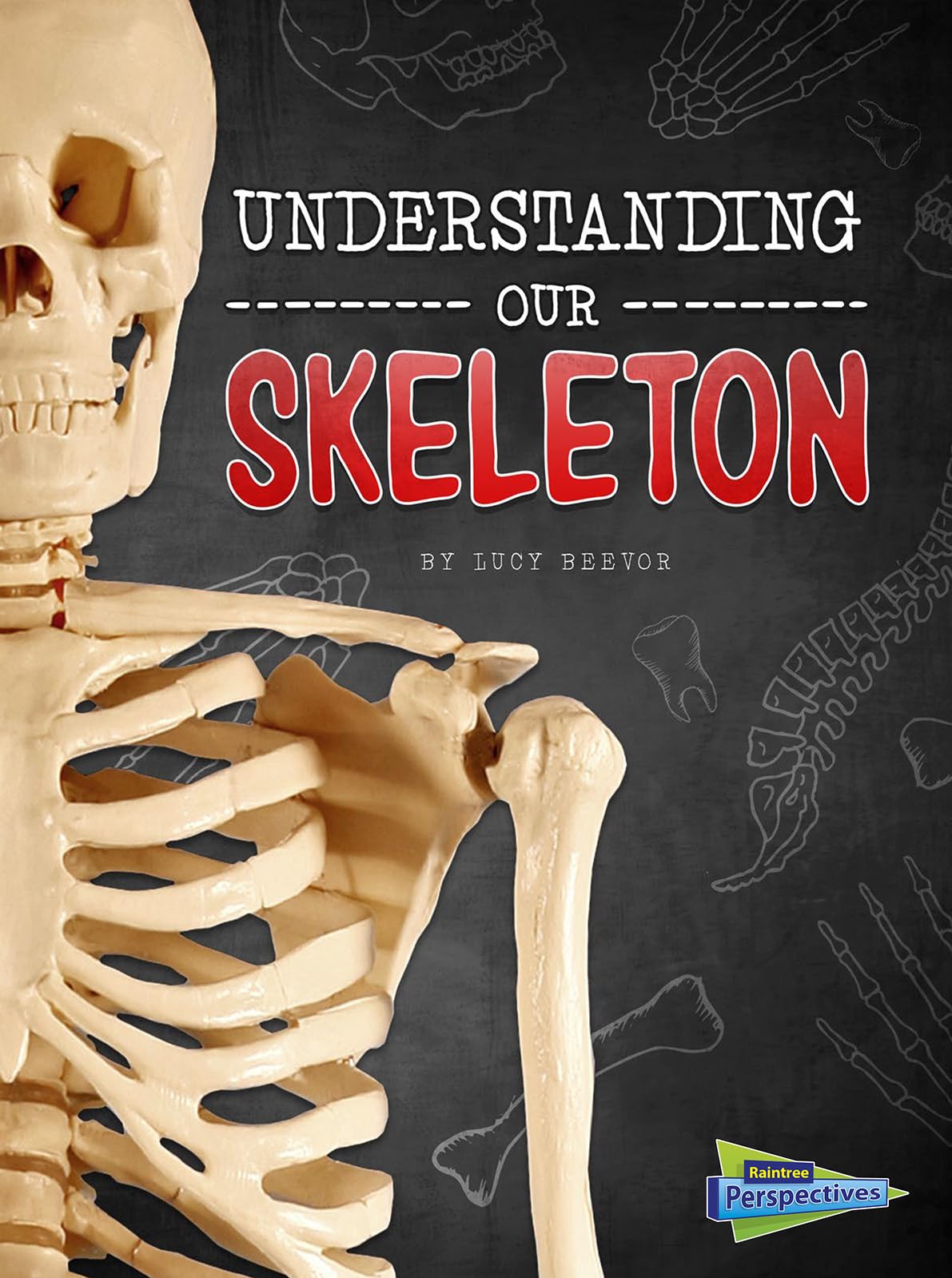 Buy Understanding Our Skeleton (Raintree Perspectives: Brains, Body, Bones!) — BookShops.in