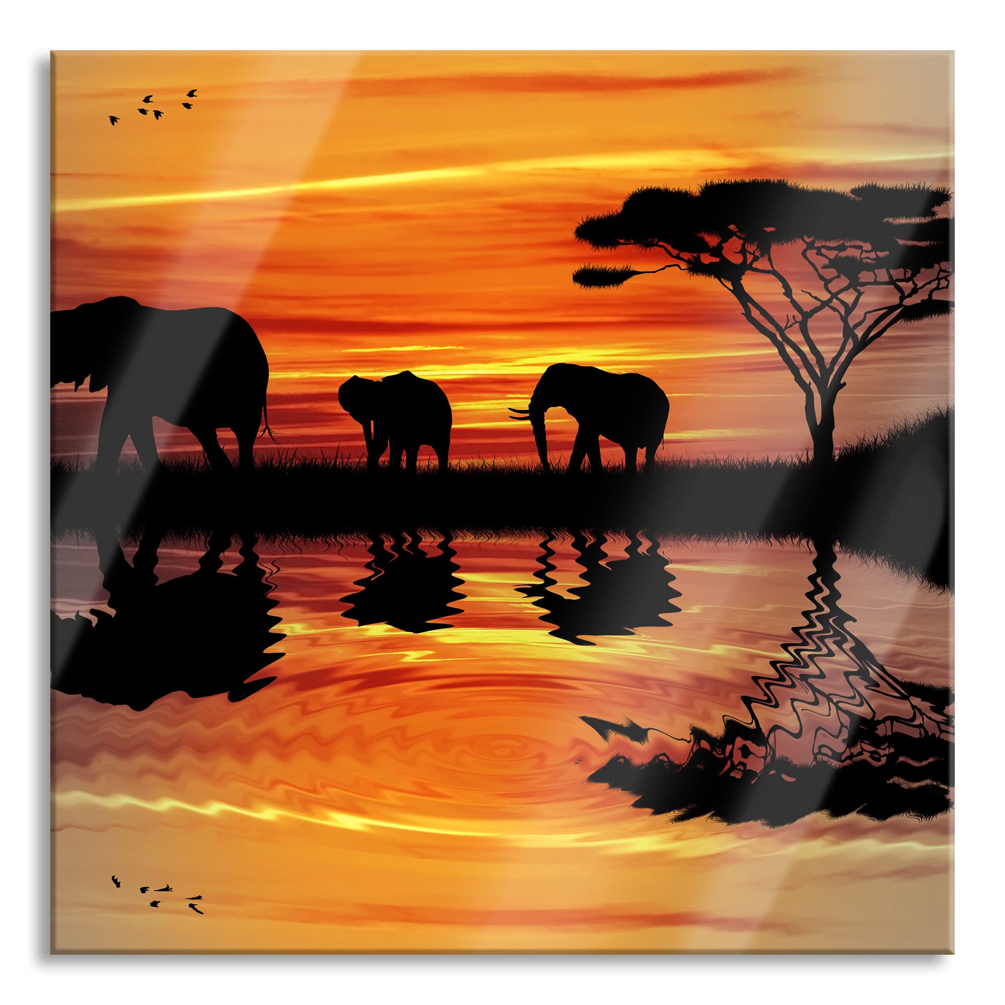 Pixxprint Glasbild, Wandbild auf Echtglas, Afrika Elefant in Sonnenschein, 50x50 cm, inkl. Aufhängung und Abstandshalter