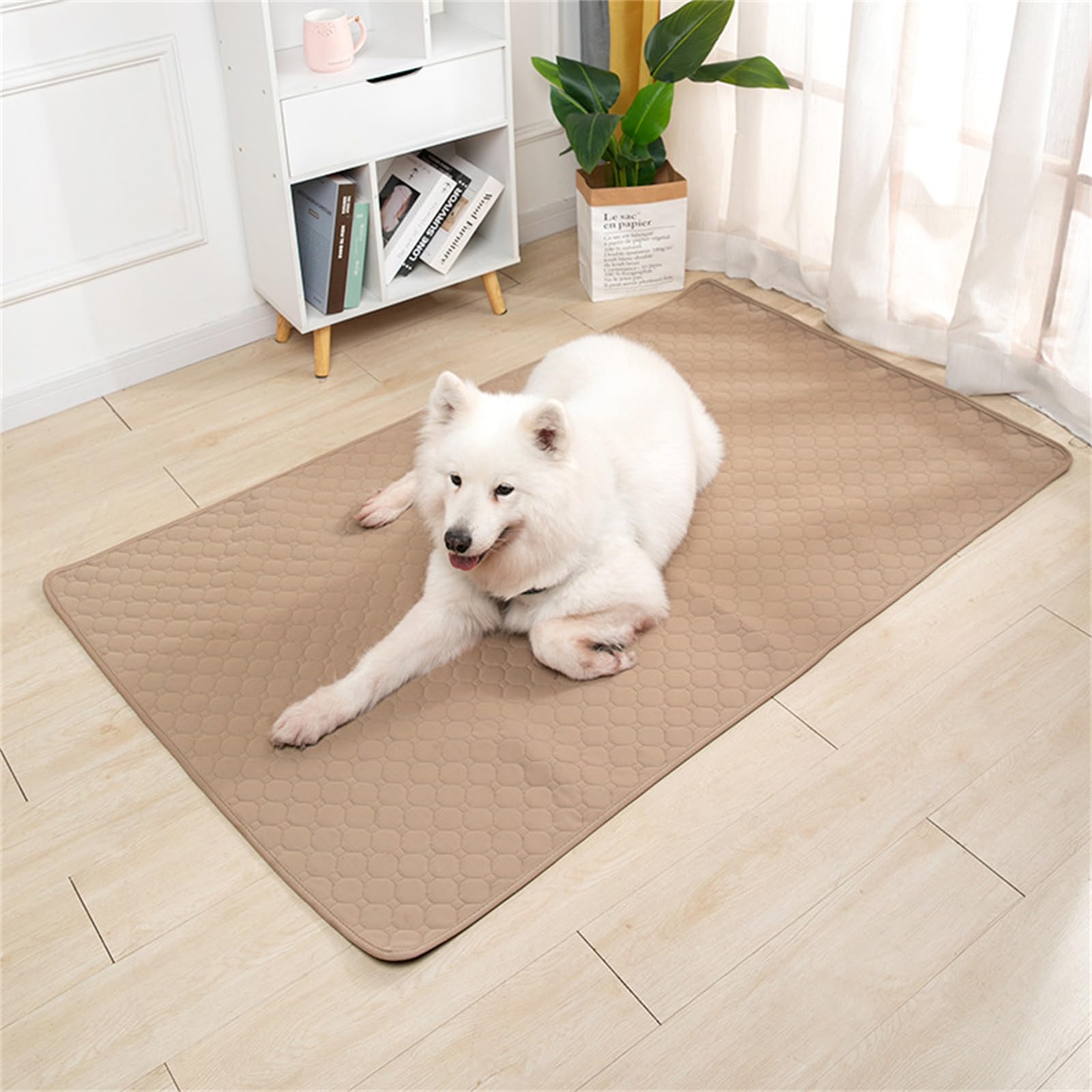 Lukery 2 Pack Washable Pee Pads for Dogs, Waterproof Reusable Dog Pee Pads Non-Slip Soft Pet Diaper Pads Fast Drying Puppy Training Pads for Home,Travel, Car (S(50 * 35cm),Khaki)