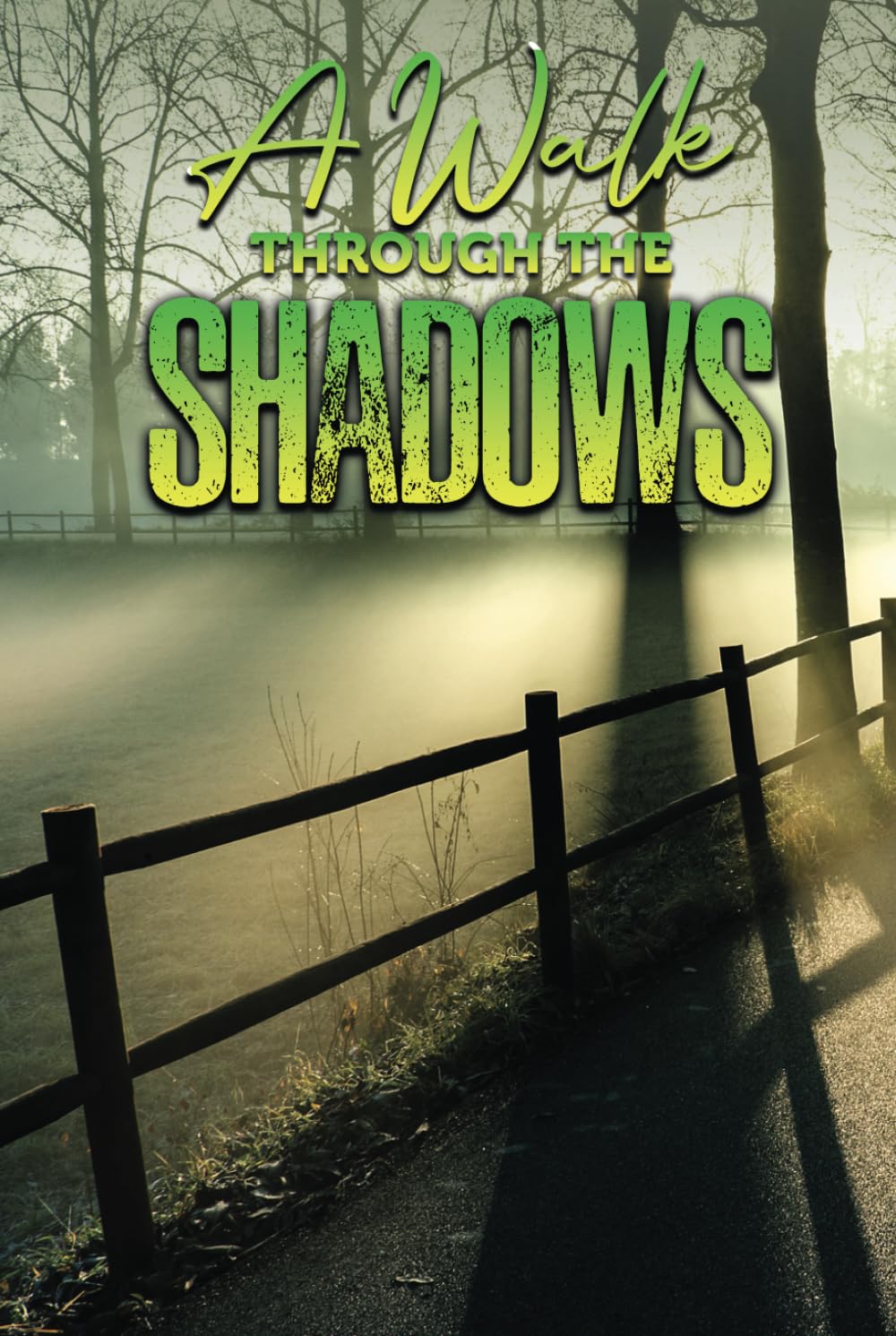 A Walk Through the Shadows: From a Dark Mind