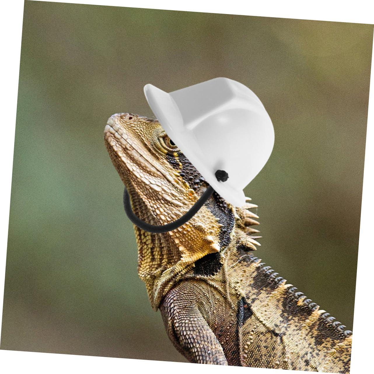 BESPORTBLE Mini Casco de Seguridad para Muñecas de Plástico, 6 Piezas Cuerda Elástica, Fácil de Transportar Actividades al Aire Libre