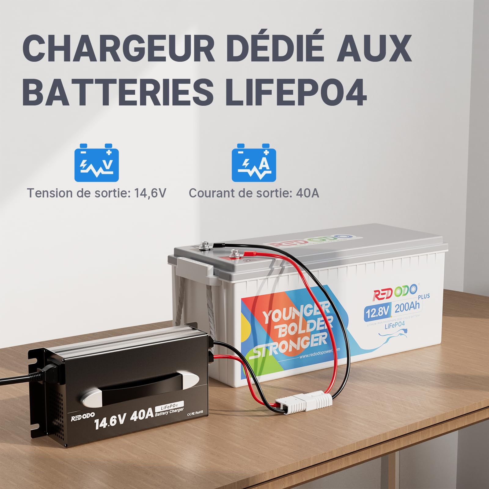 Redodo 14,6V 40A Batterie LiFePO4 Chargeur, Chargeur Dédié pour Batteries Lithium, Poignée Améliorée, Conception Compacte et Durable avec Protection Complète, Idéal pour 12V Batteries LiFePO4
