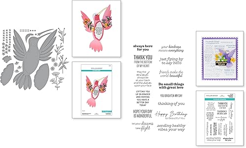 Miniatura 4 de Spellbinders Bibi Cameron - Juego de troqueles para creador de tarjetas de colibrí y sentimientos de colibrí a juego, juego de sellos transparentes