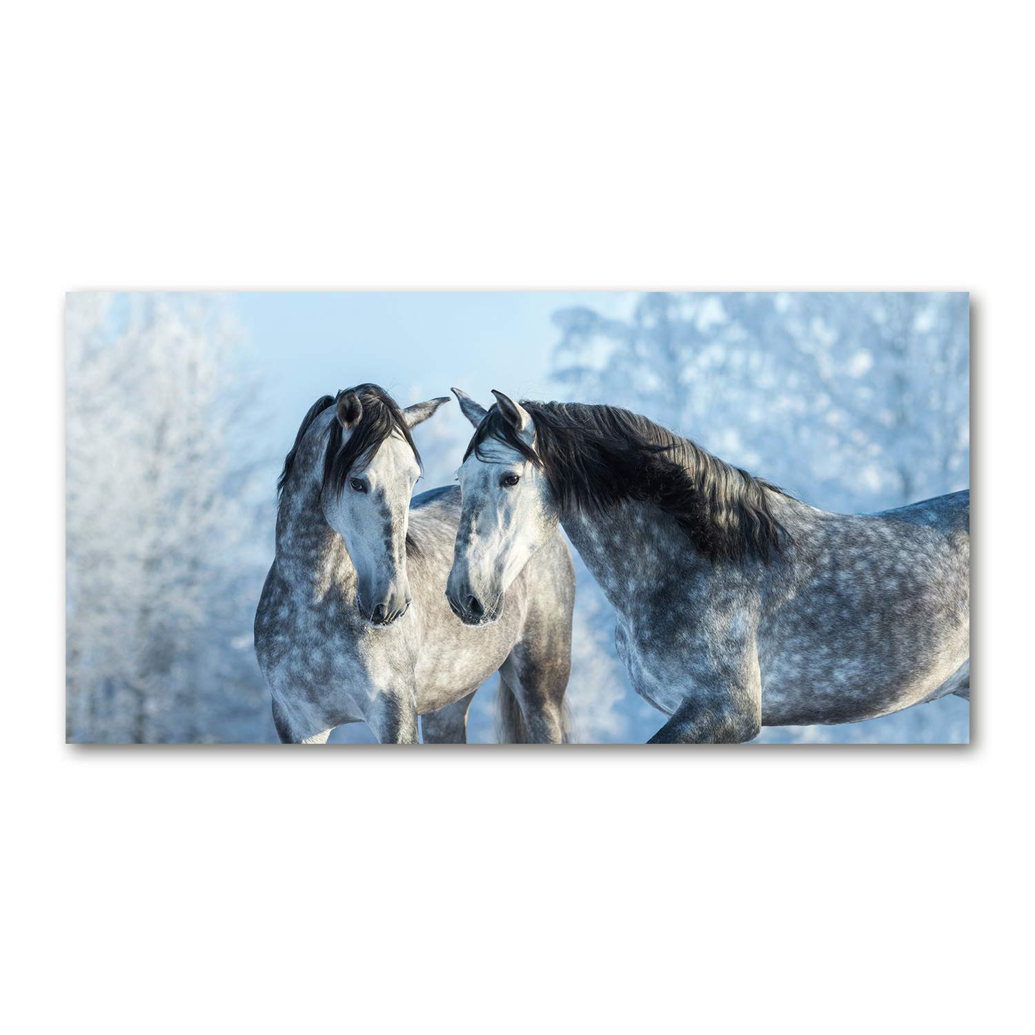 Tableau acrylique glass 140x70cm de qualité premium motif chevaux gris d'hiver