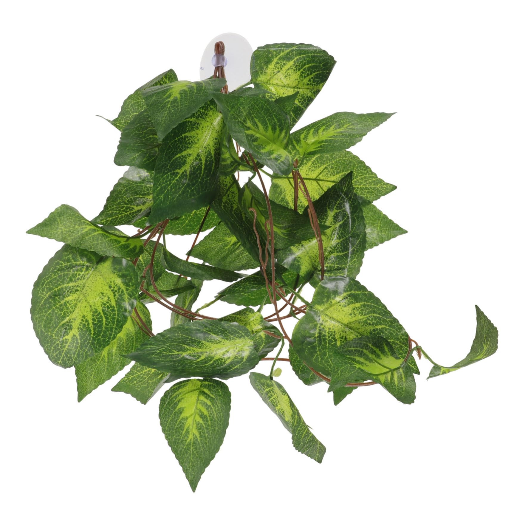 DOITOOL 5 Piezas Planta de simulación de Oruga decoración de vides Falsas contenedores de Vidrio Animal Plantas Artificiales Planta Falsa de Acuario Planta de pecera Hojas