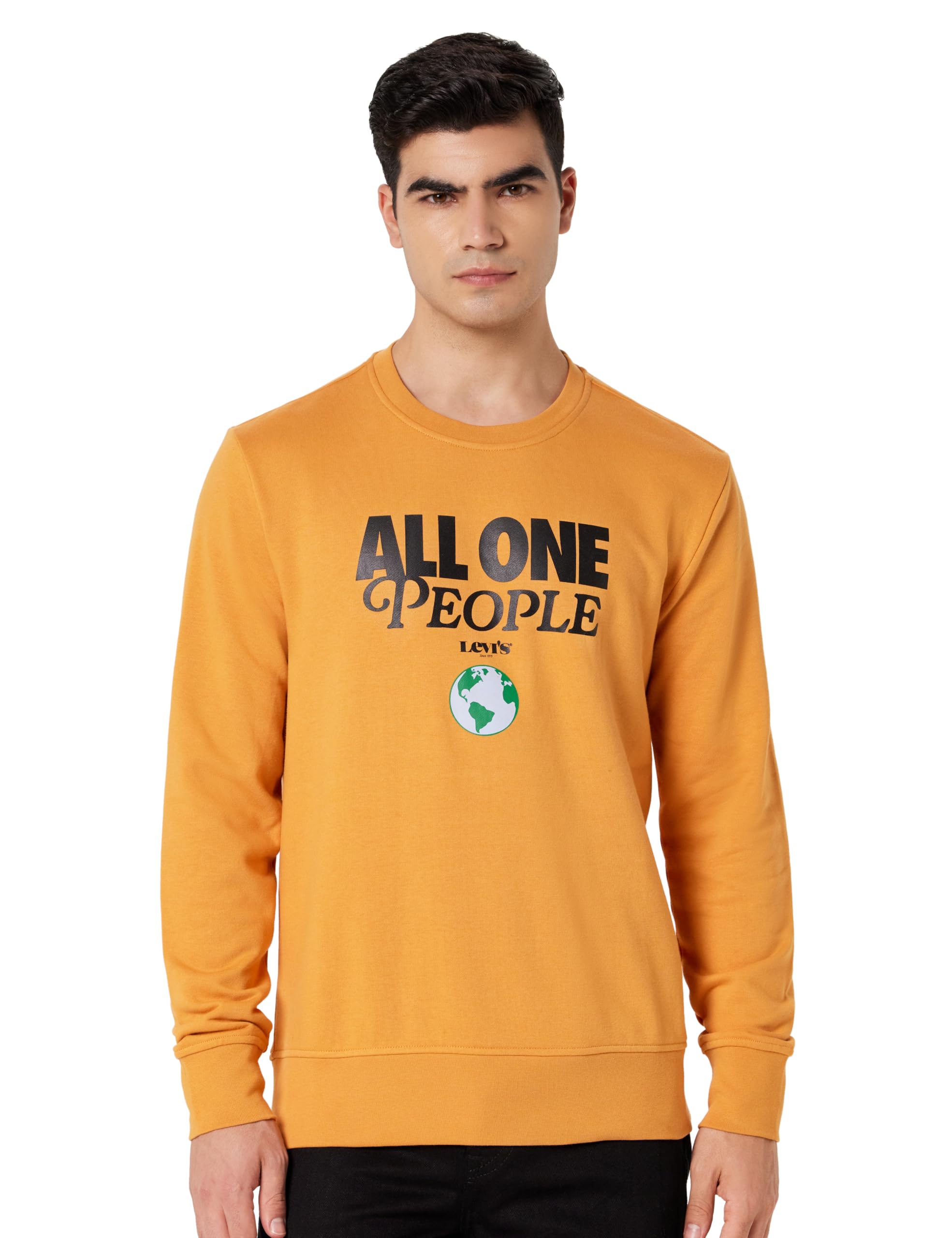 levi's Men's Polycotton Regular Fit Crew Neck Sweatshirt-picture-44