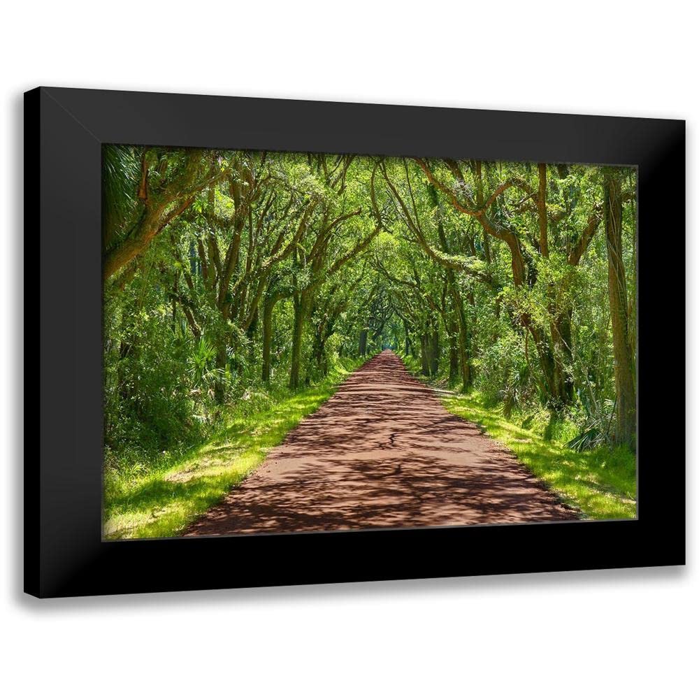 ArtDirect - McLoughlin, James 18x15 Black Modern Framed Art Print Titled: Country Road Photo IV