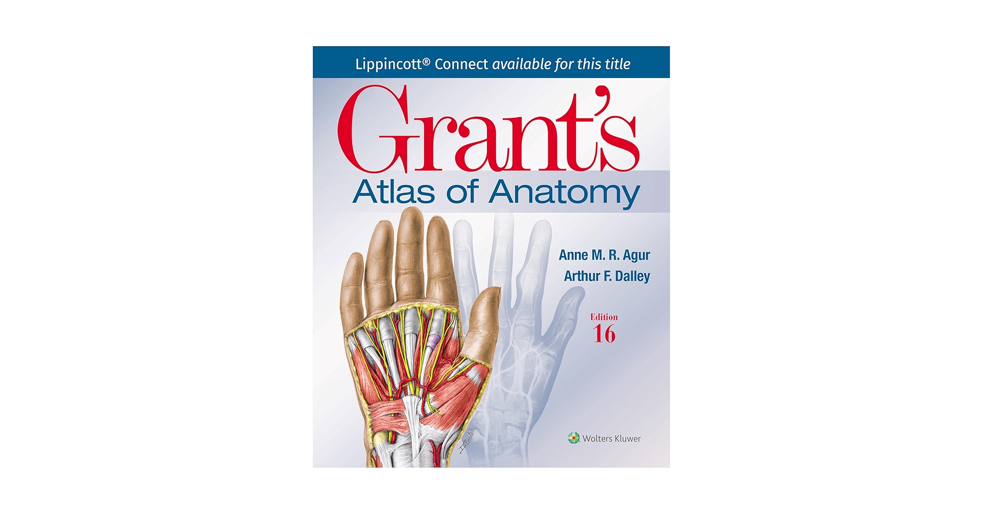 健康・医学 Grant's ATLAS OF ANATOMY Grant's Atlas of Anatomy (Lippincott Connect): 9781975210328