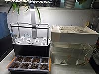 Review Image by maria maria