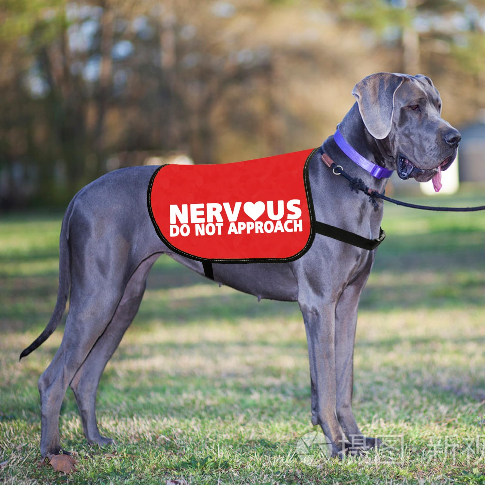 Nervous Do Not Approach Dog Jacket Vest Nervous Rescue Space Dog Vest Dog Walking Slogan Warning Gift (NERVOUS APPROACH L) - Image 3