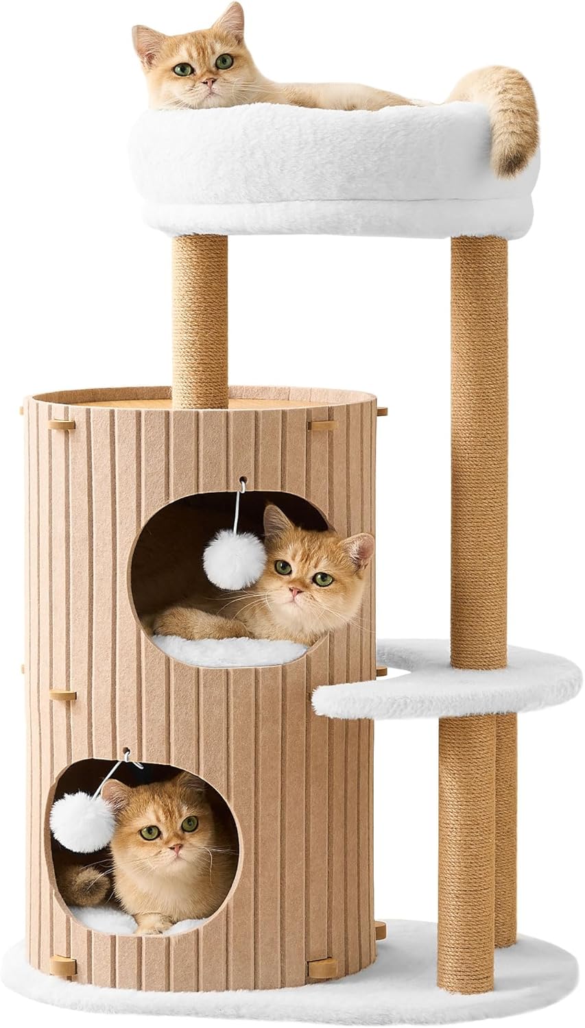 https://m.media-amazon.com/images/I/71Lvo5B2f5L._AC_SL1500_.jpg