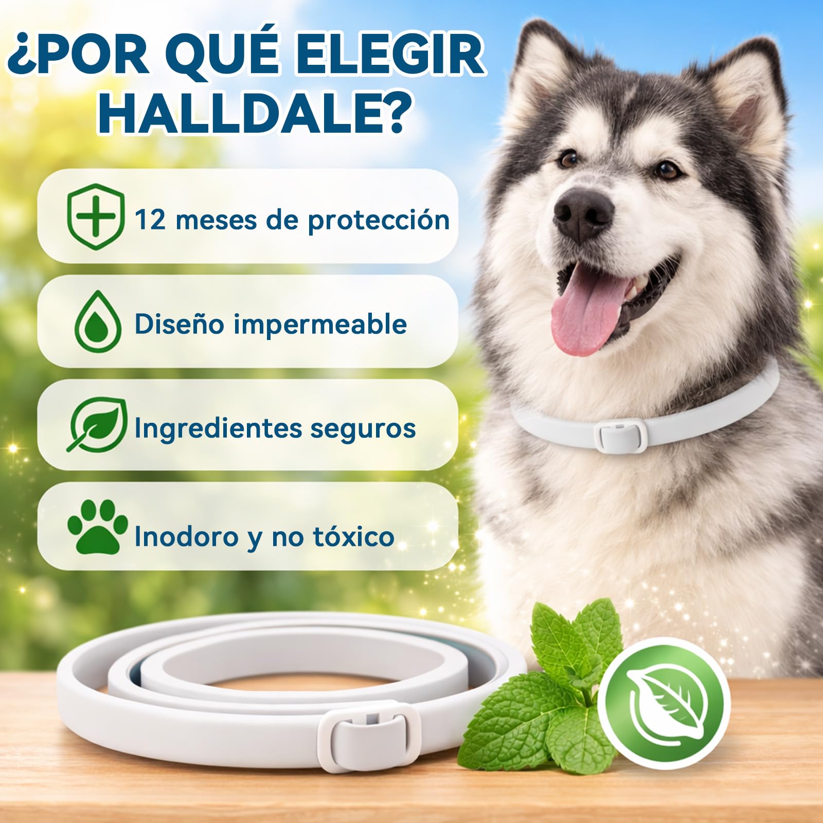 Halldeli Collar Antiparasitario para Perros 65 cm – Protección contra Pulgas, Garrapatas e Insectos hasta 12 Meses – para Perros de Todos los tamaños – Impermeable y Ajustable — view 4