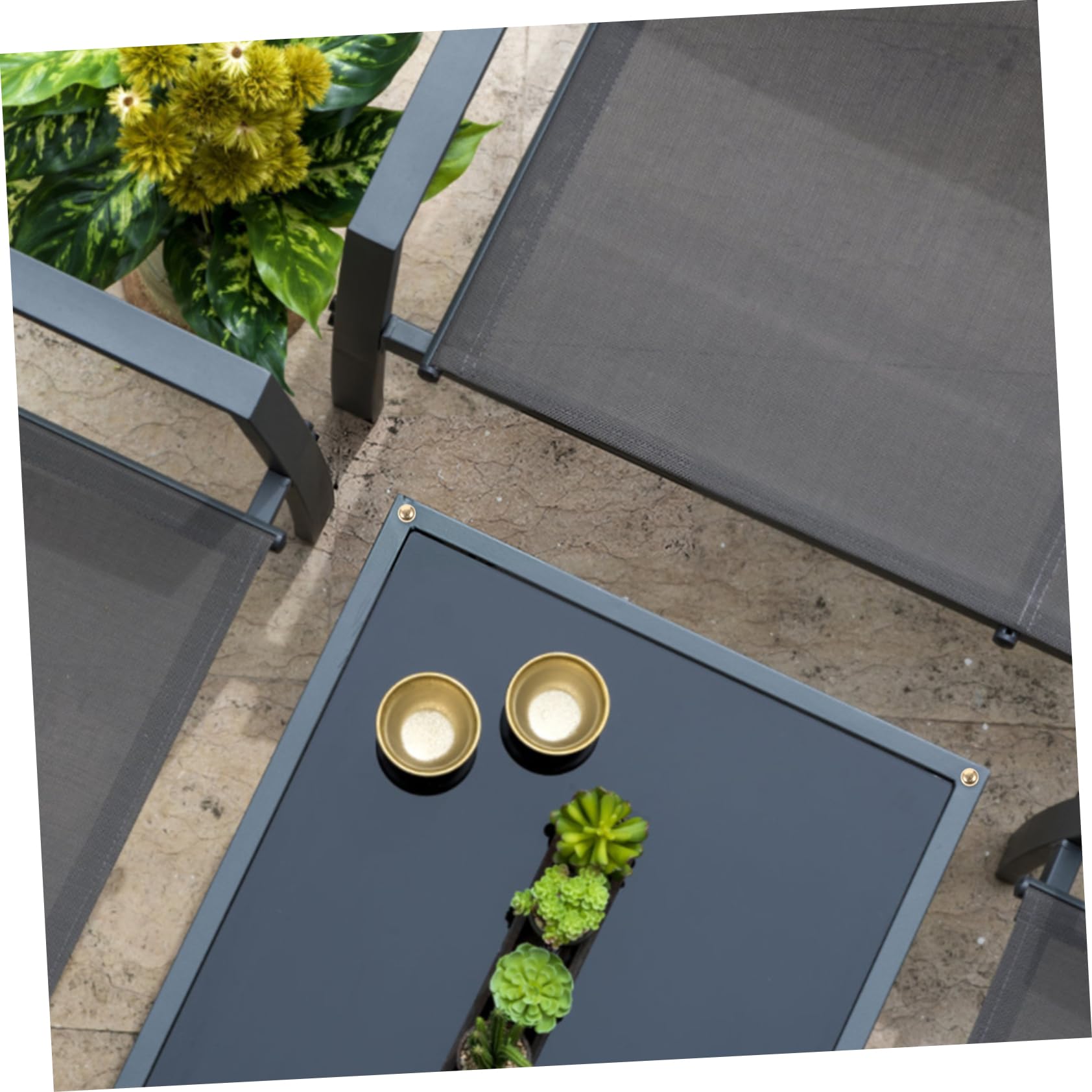 Veemoon Brass Decorative Screws 8 Pack Machine Screws Decorative Caps Fasteners