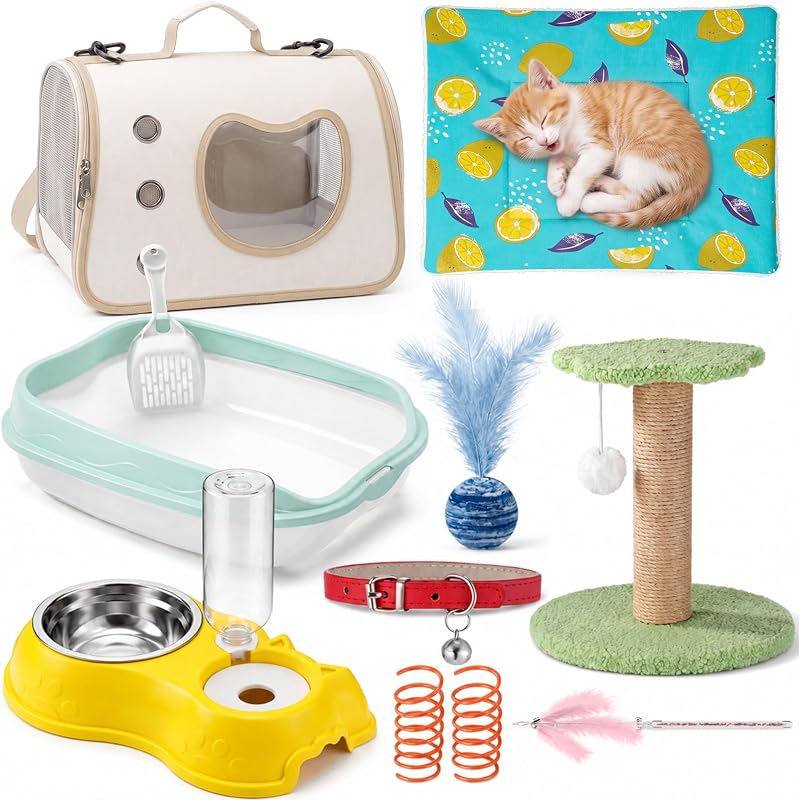 Kit para Gatos Filhotes de Interior com Caixa de Areia, Brinquedos e Acessórios Eccliy, 10 Peças