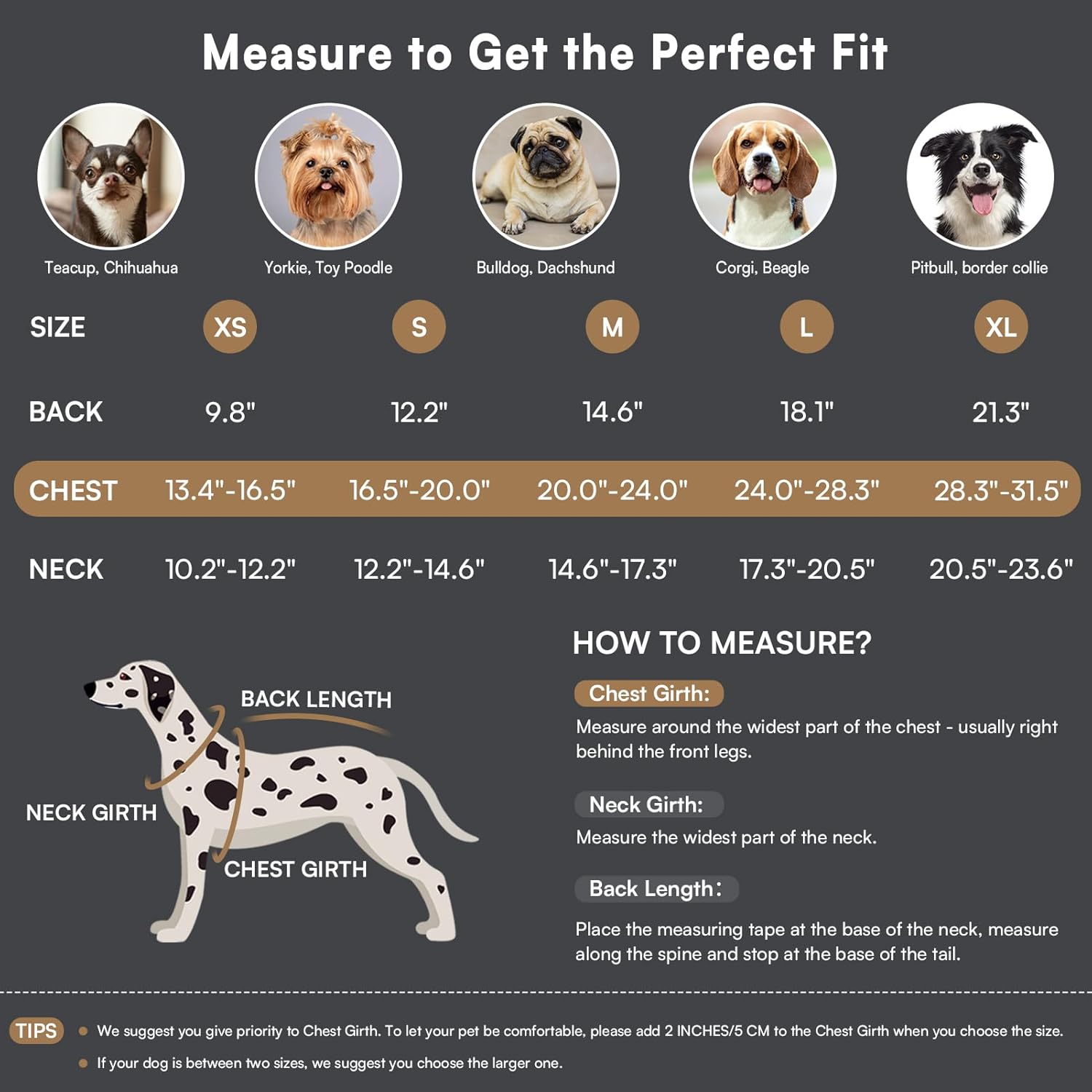 Queenmore Dog Winter Coat - Fleece Jacket, Waterproof Cold Weather Dog Clothes, Thick Warm Cotton Padding, Easy On Storage Pockets (Pink, X-Small) - Image 4