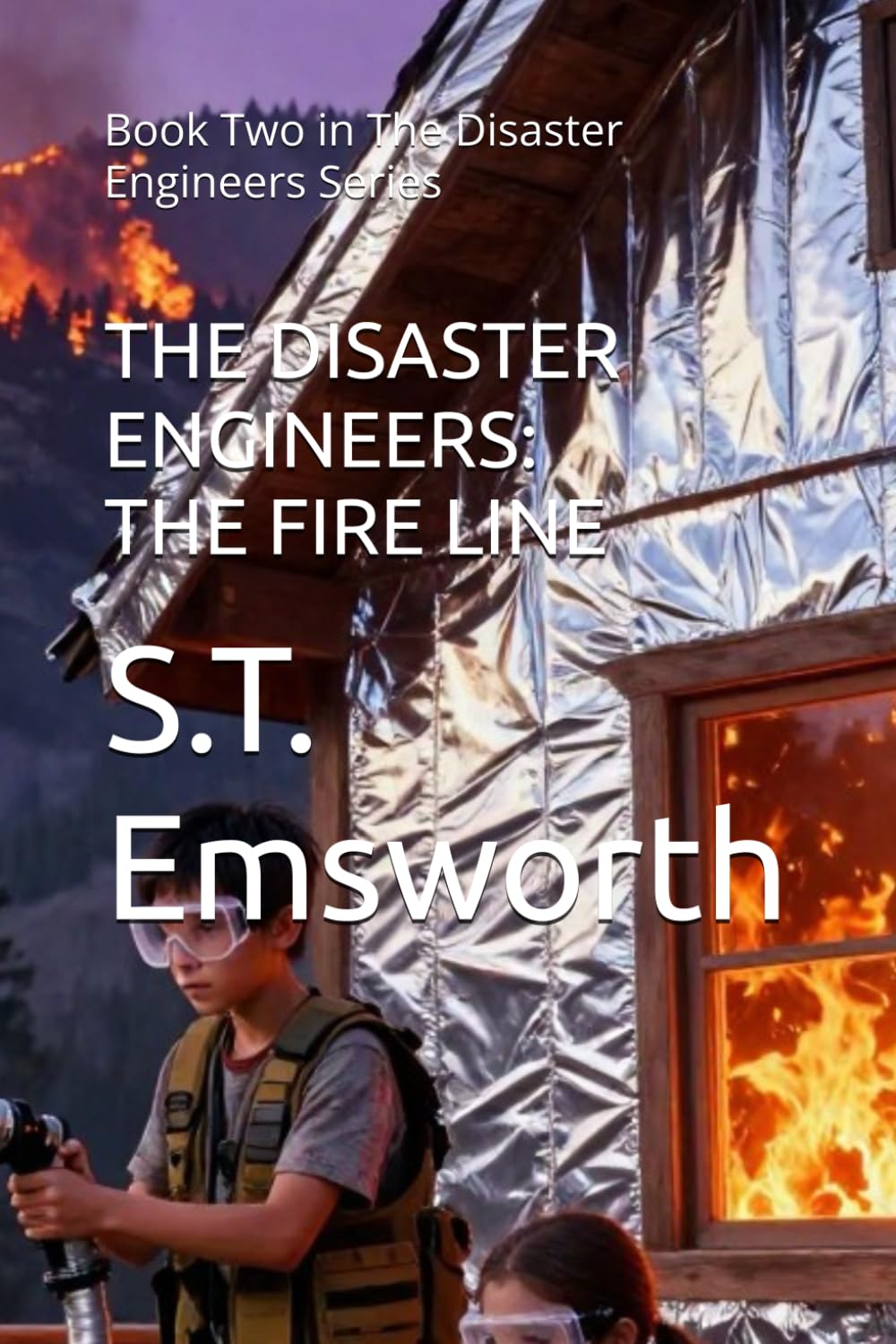 THE DISASTER ENGINEERS: THE FIRE LINE: Book Two in The Disaster Engineers Series: 2