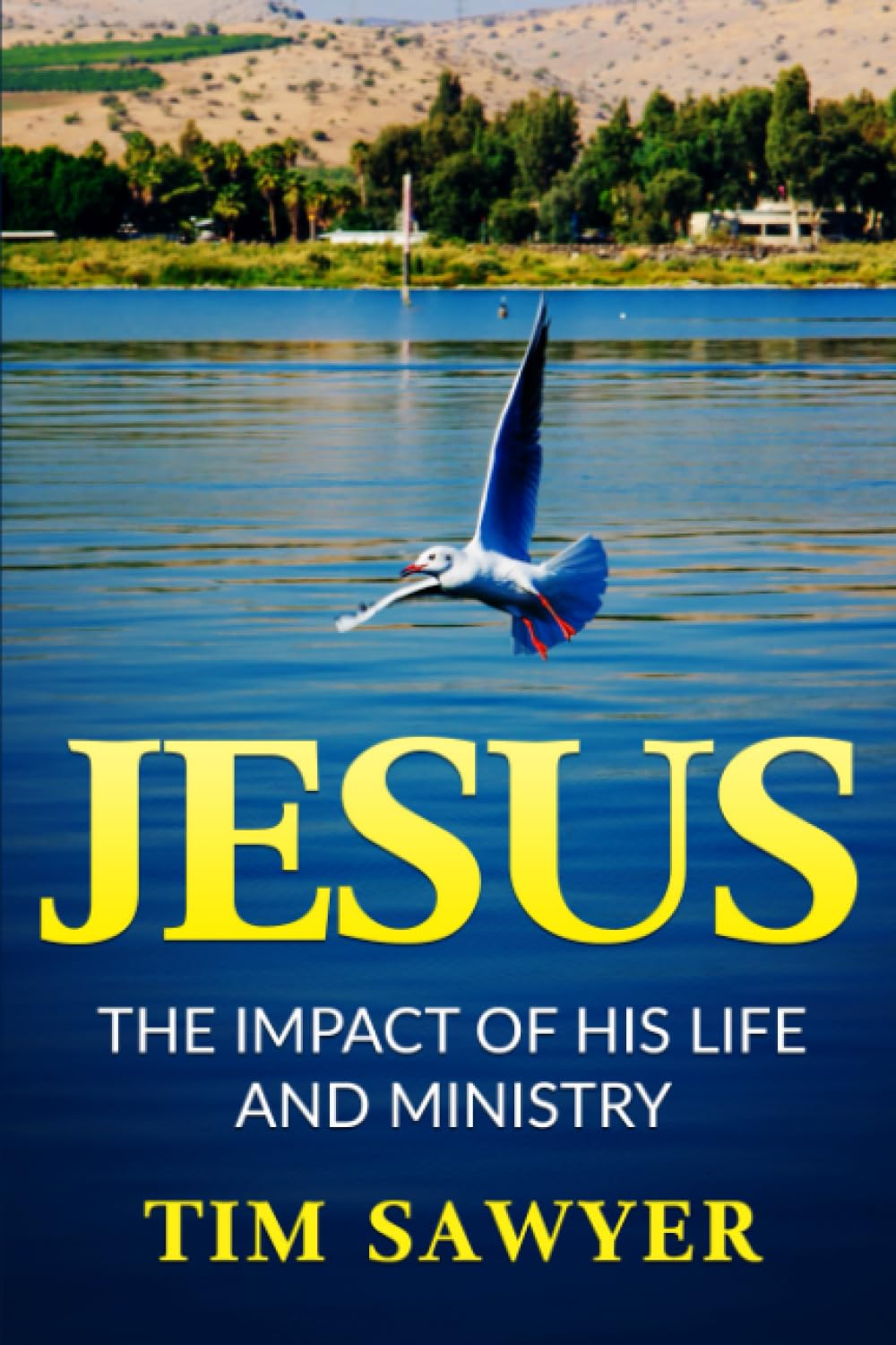 Jesus: The Impact of His Life and Ministry (Biblical Characters)