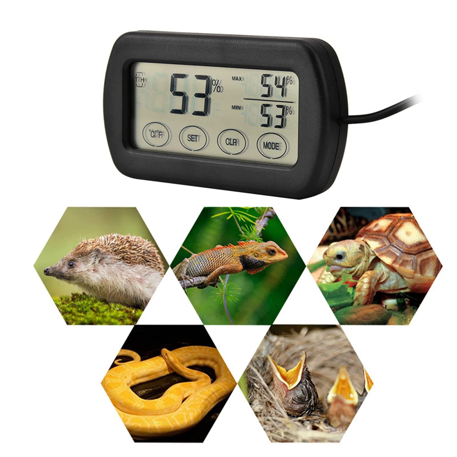 Incubateur d'œufs avec écran LCD, Réservoir de Reptiles, Thermomètre et Hygromètre Numérique