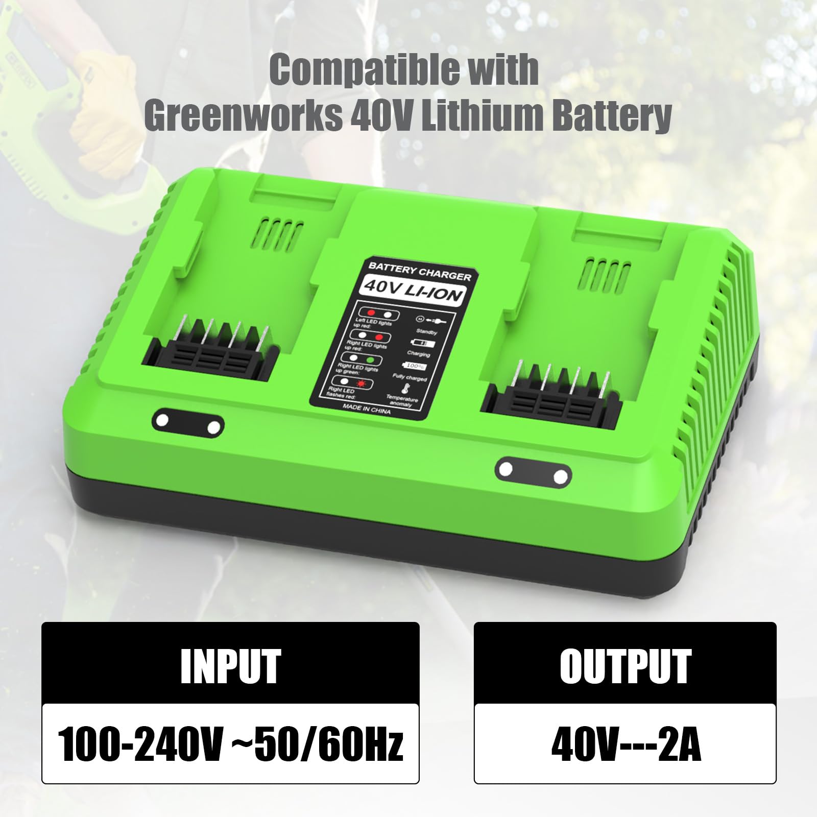 Caricabatterie 40 V Doppia Porta per Greenworks Caricabatterie G40C di Ricambio per Greenworks Batteria 40 V 29462 29472 29252 20202 22262